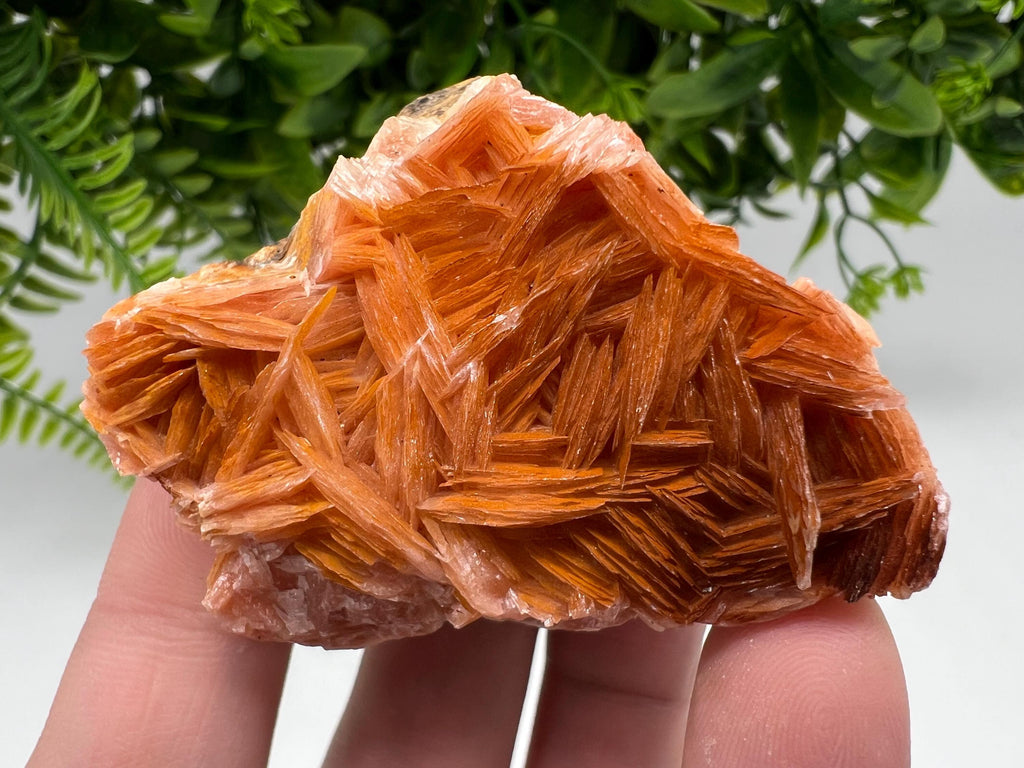 Wonderful Baryte with Cerussite on Galena from Morocco,Crystal, Mineral,Specimen,Cluster,Crystals,Barite Crystal,Cerussite Crystal,Specimen