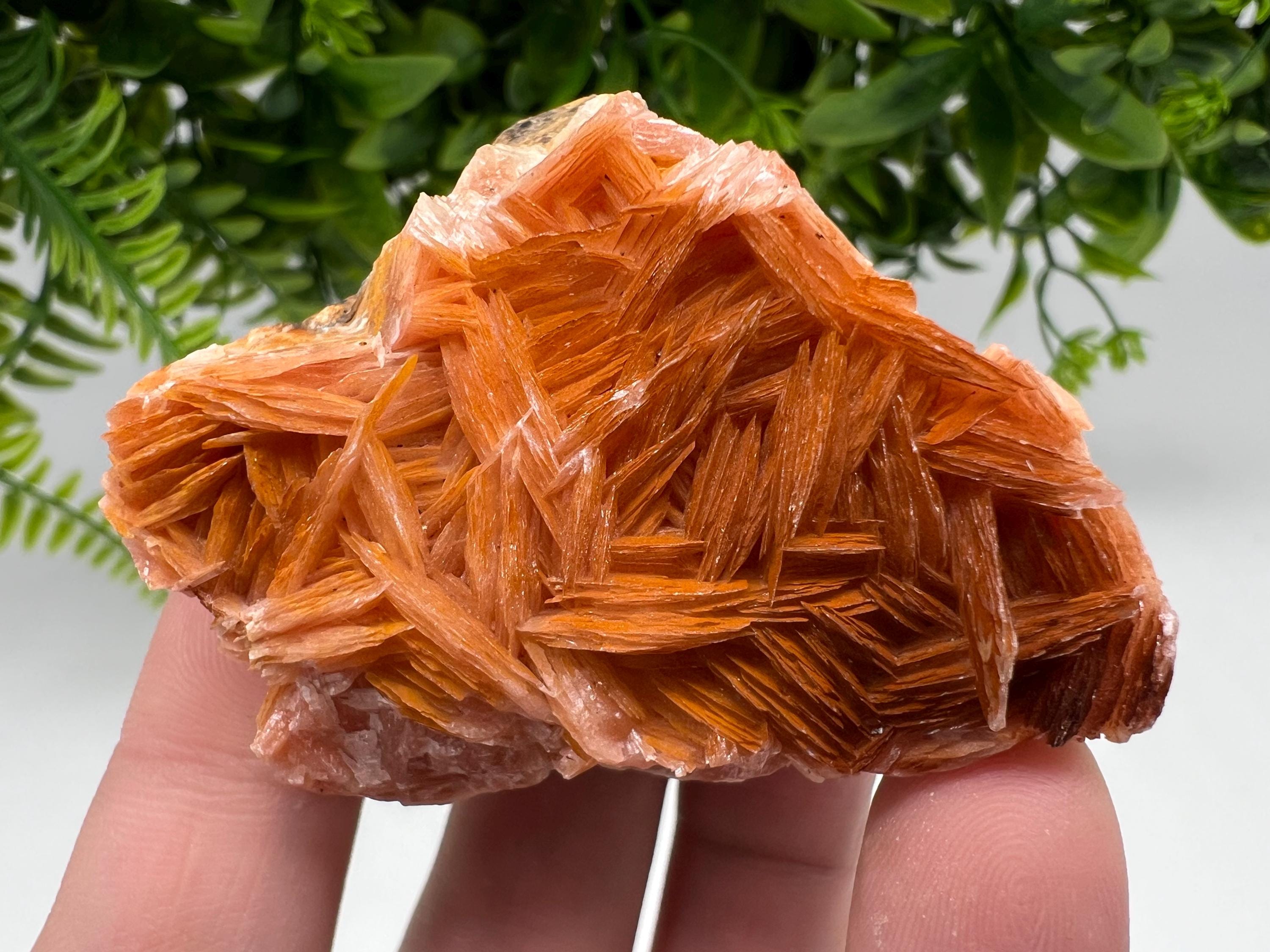 Wonderful Baryte with Cerussite on Galena from Morocco,Crystal, Mineral,Specimen,Cluster,Crystals,Barite Crystal,Cerussite Crystal,Specimen