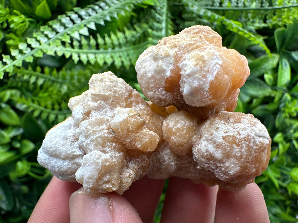 Aragonite Cluster, Dimitrovgrad Bulgaria, Mineral Specimen