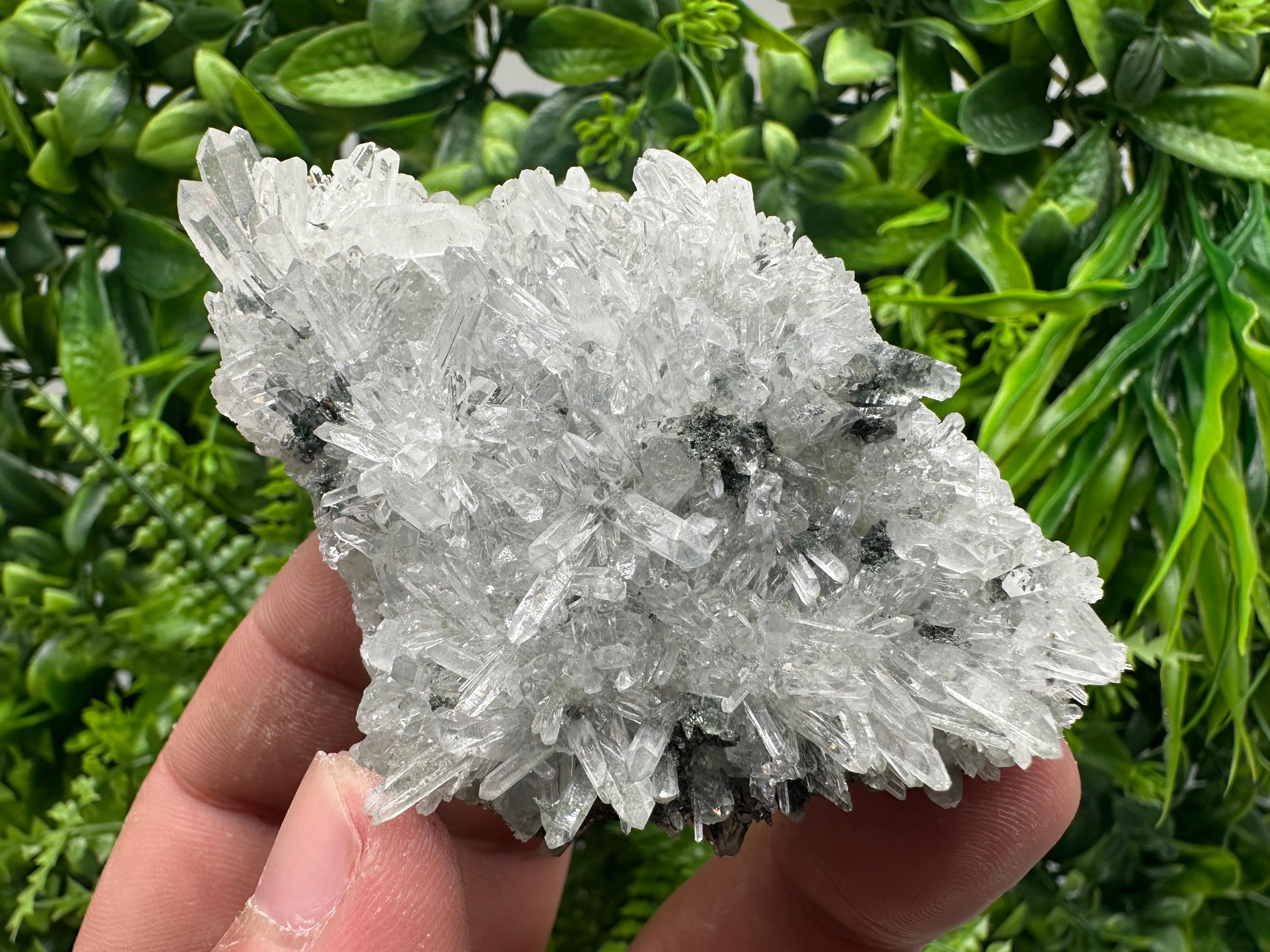 Transparent Quartz on Chlorite Matrix, Borieva Mine, Bulgaria