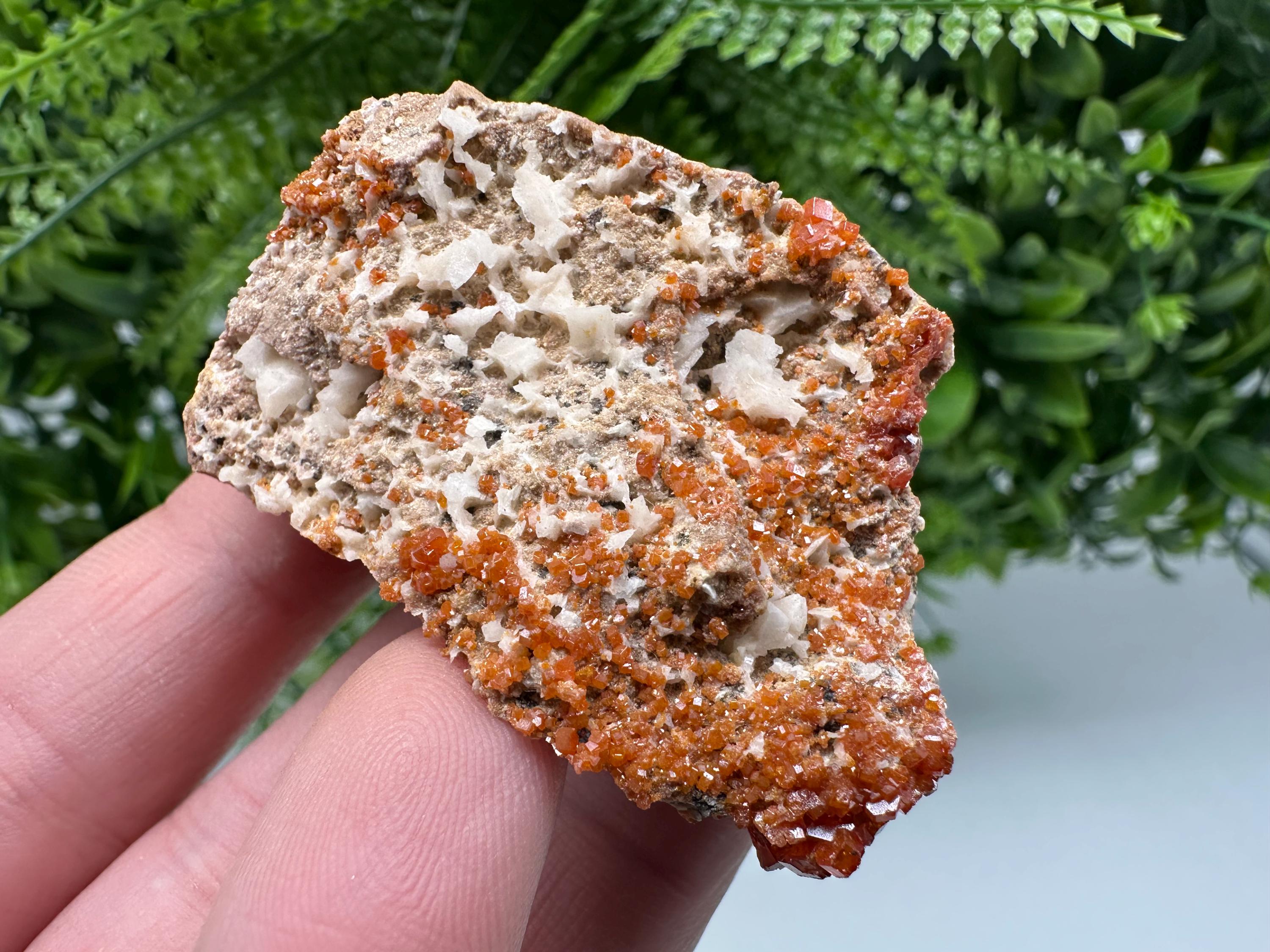 Red Vanadinite on Matrix from Marocco,crystal minerals Speciment cluster Vanadinite crystal Vanadinite Geology Vanadinite cluster minerals