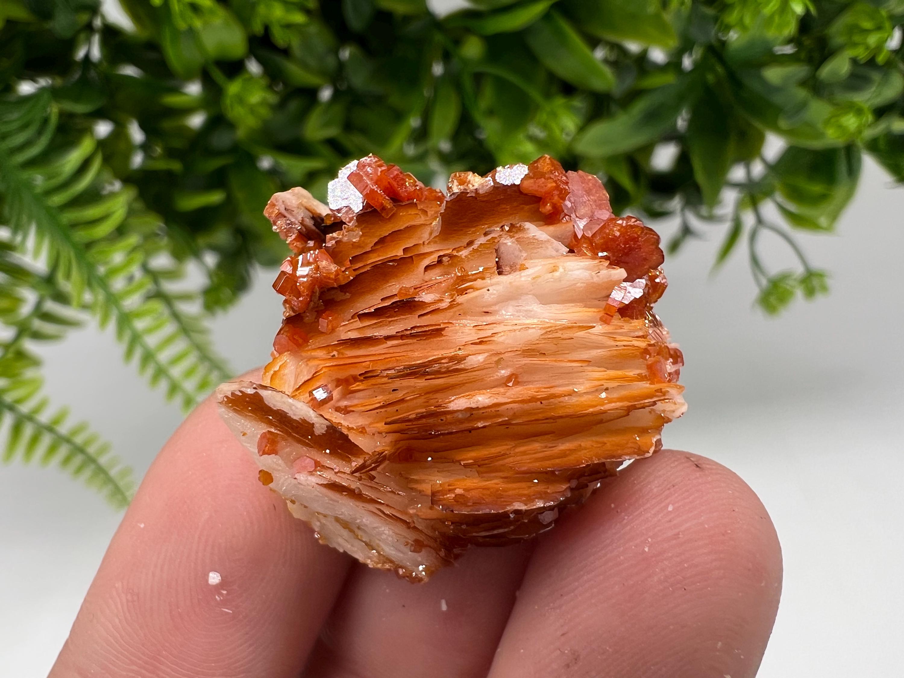 Red Vanadinite on Barite from Marocco,crystal minerals Speciment cluster Vanadinite crystal Vanadinite Geology Vanadinite cluster minerals