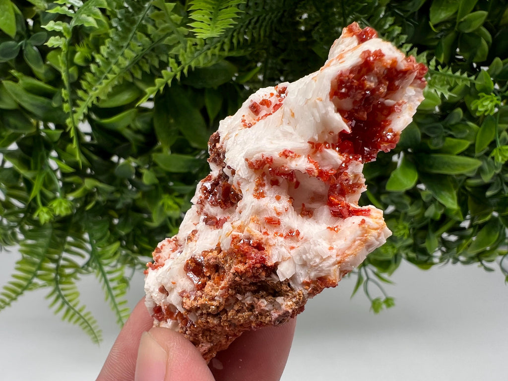 Wonderful Barite whit Vanadinite,Marocco,crystal minerals Speciment cluster Vanadinite crystal Vanadinite Geology Vanadinite cluster mineral