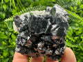 Black Sphalerite Cluster: Natural Mineral Souvenir, Borieva Bulgaria