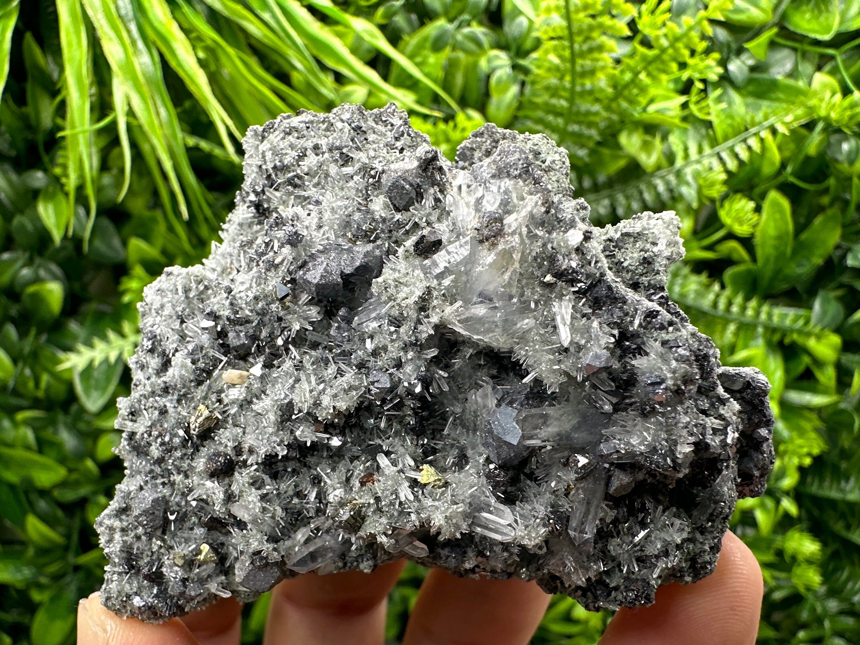 Chalcopyrite Galena on Quartz with Chlorite, Bulgaria Mineral Specimen