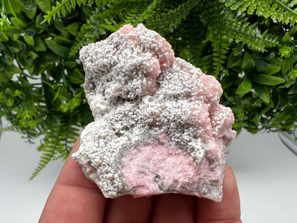 RARE Rhodochrosite with White Calcite, Starnica Mine, Bulgaria