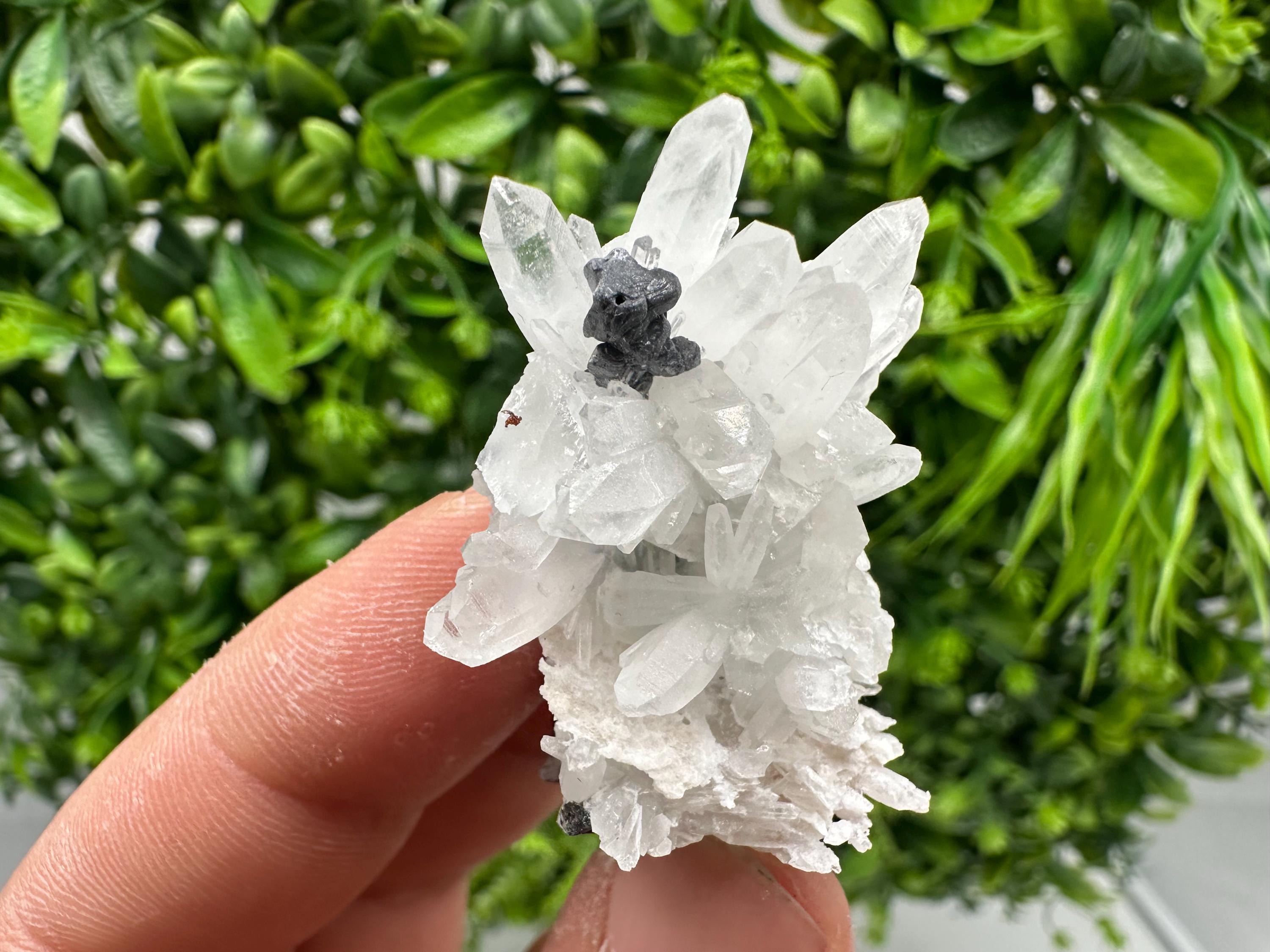 Stunning Sphalerite on  Quarzt from Borieva mine,Madan,Bulgaria,natural,collection mineral specimen,home decor crystal,gift,collection