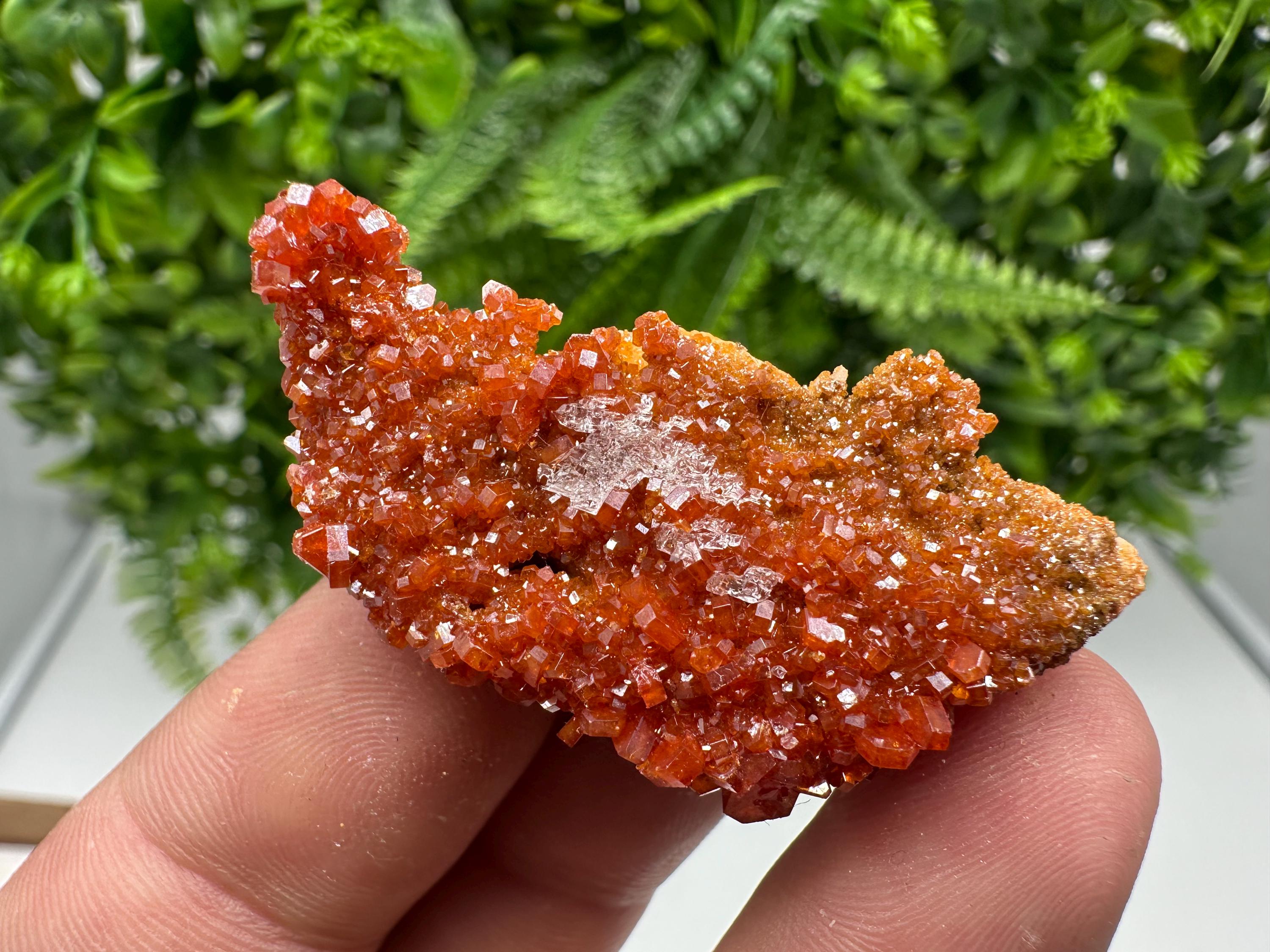 Red Vanadinite on Barite from Marocco,crystal minerals Speciment cluster Vanadinite crystal Vanadinite Geology Vanadinite cluster minerals