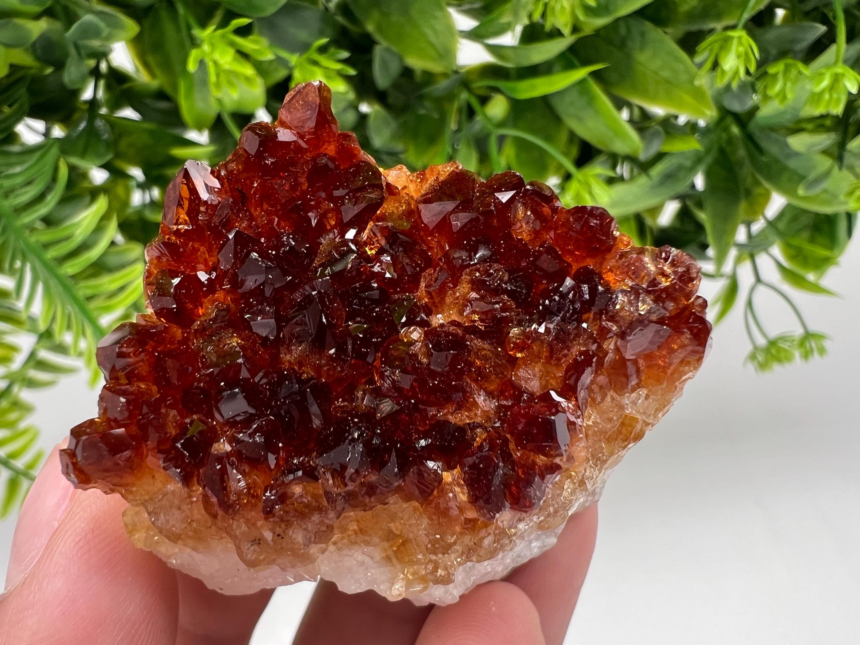 Brazilian Citrine Crystal Cluster with Hematite