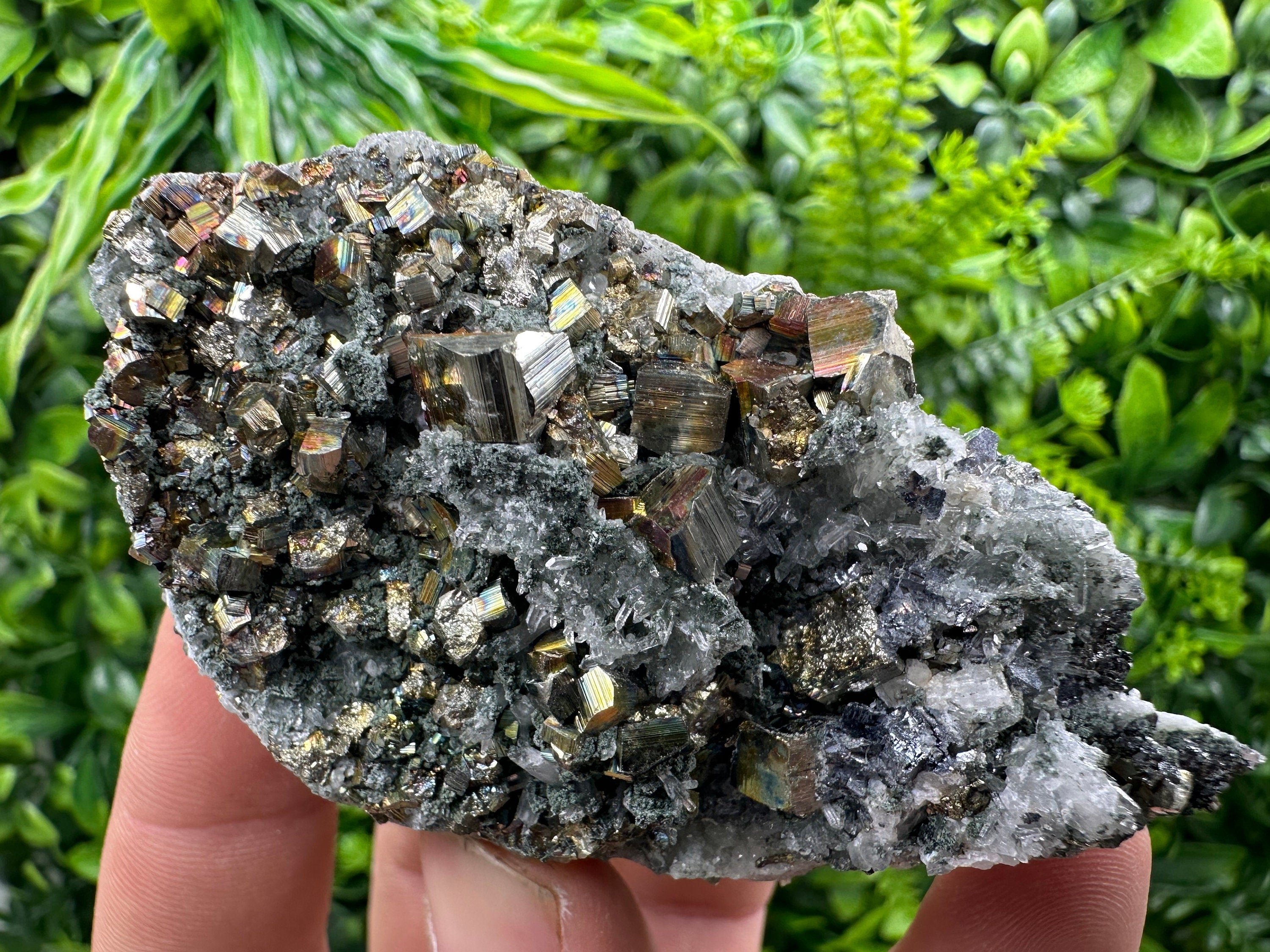 Pyrite on Green Quartz, Borieva Mine Bulgaria, Mineral Specimen