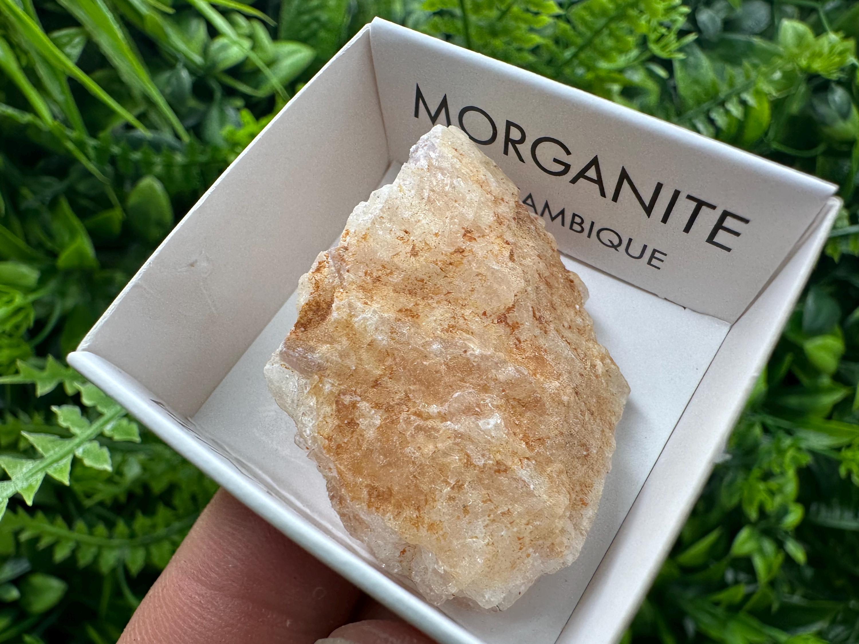 Rare Raw Morganite Specimen: Mozambique Crystal (3.5/3cm)