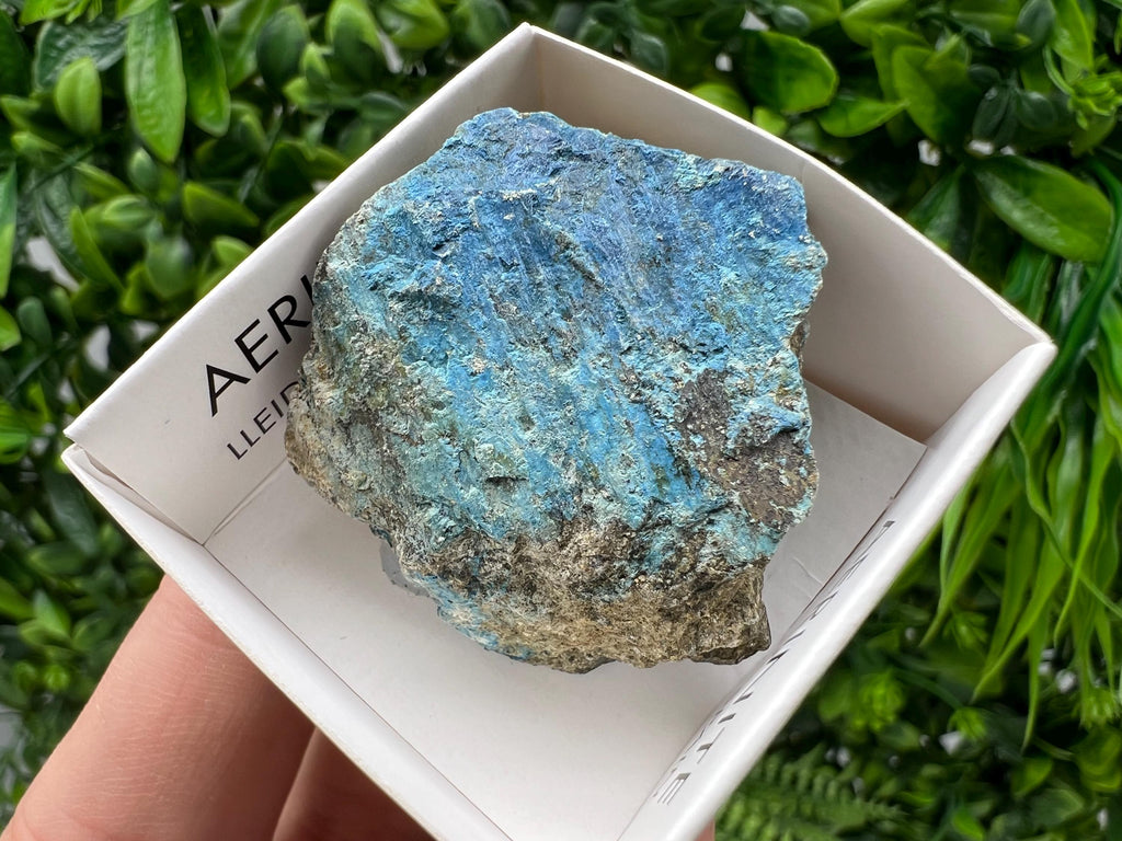 Rare Raw Aerinite Mineral Specimen: Lleida, Spain Crystal Collection (3.5/4 CM)