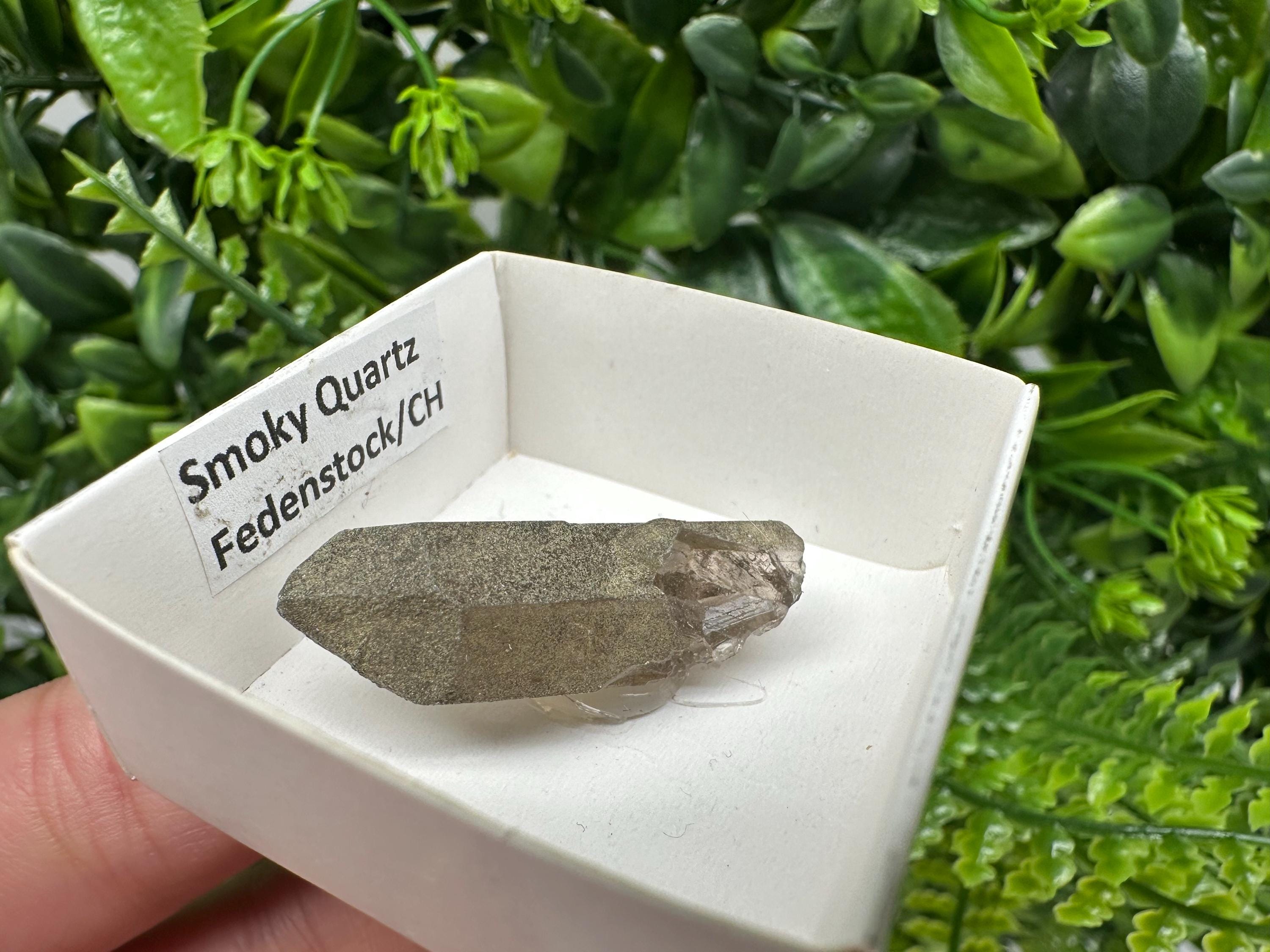 Rare Fedenstock Smoky Quartz Point, Swiss Mineral Specimen (35mm)