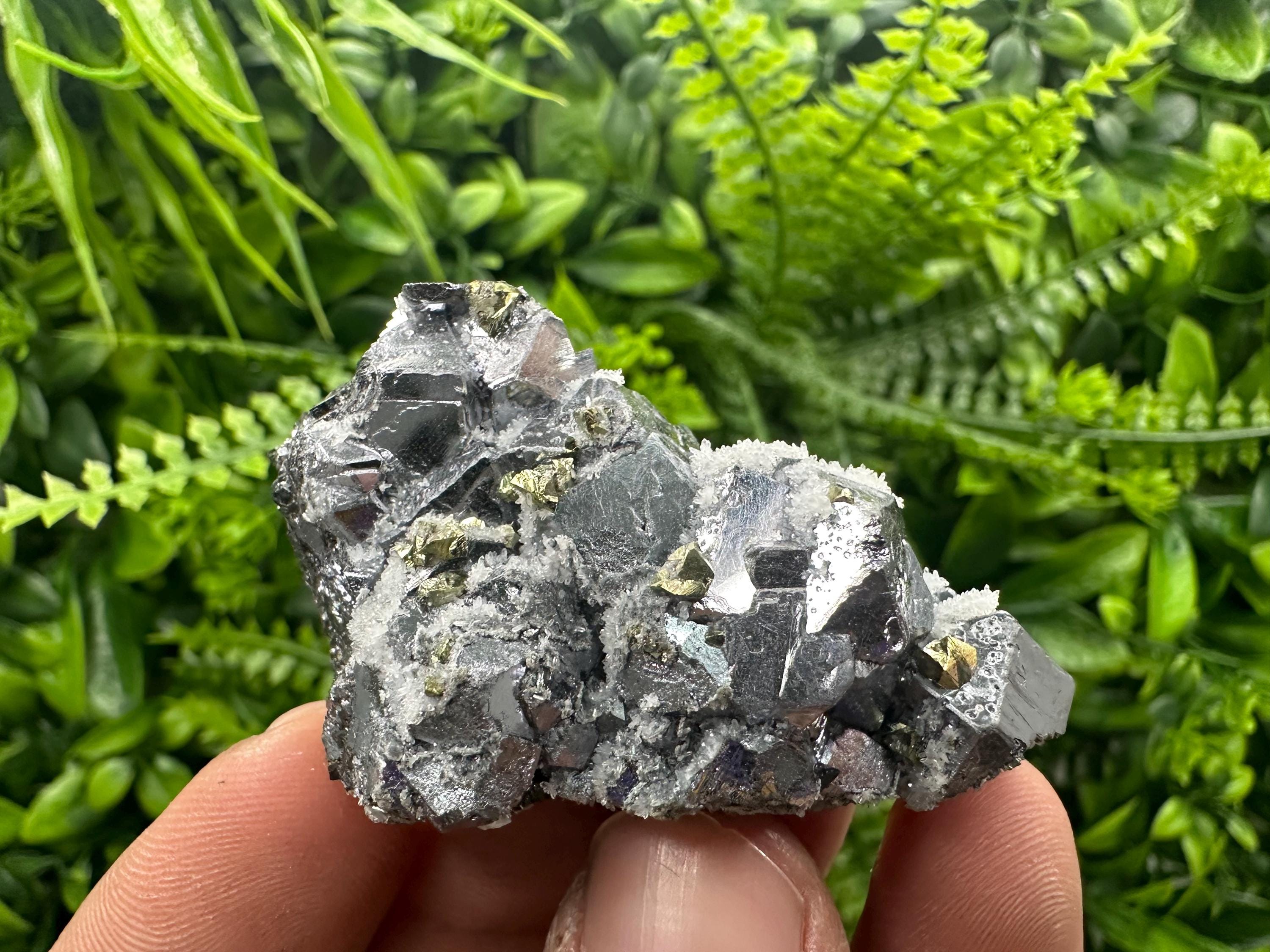 Galena with Chalcopyrite and Quartz, Krushev dol Mineral Specimen