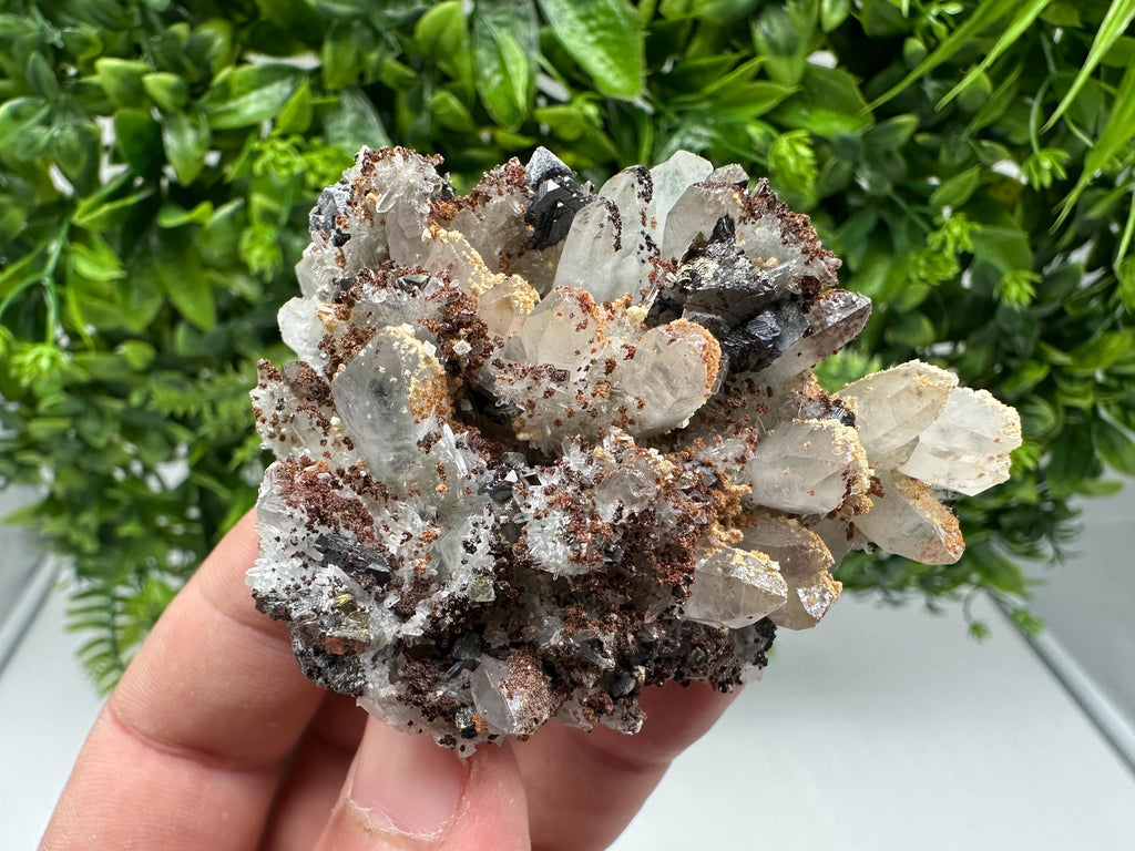 Wonderful Sphalerite Chalcopyrite on Green Quartz whit Hematite feom 9 th September mine,Bulgaria,natural,collection mineral specimen,gift