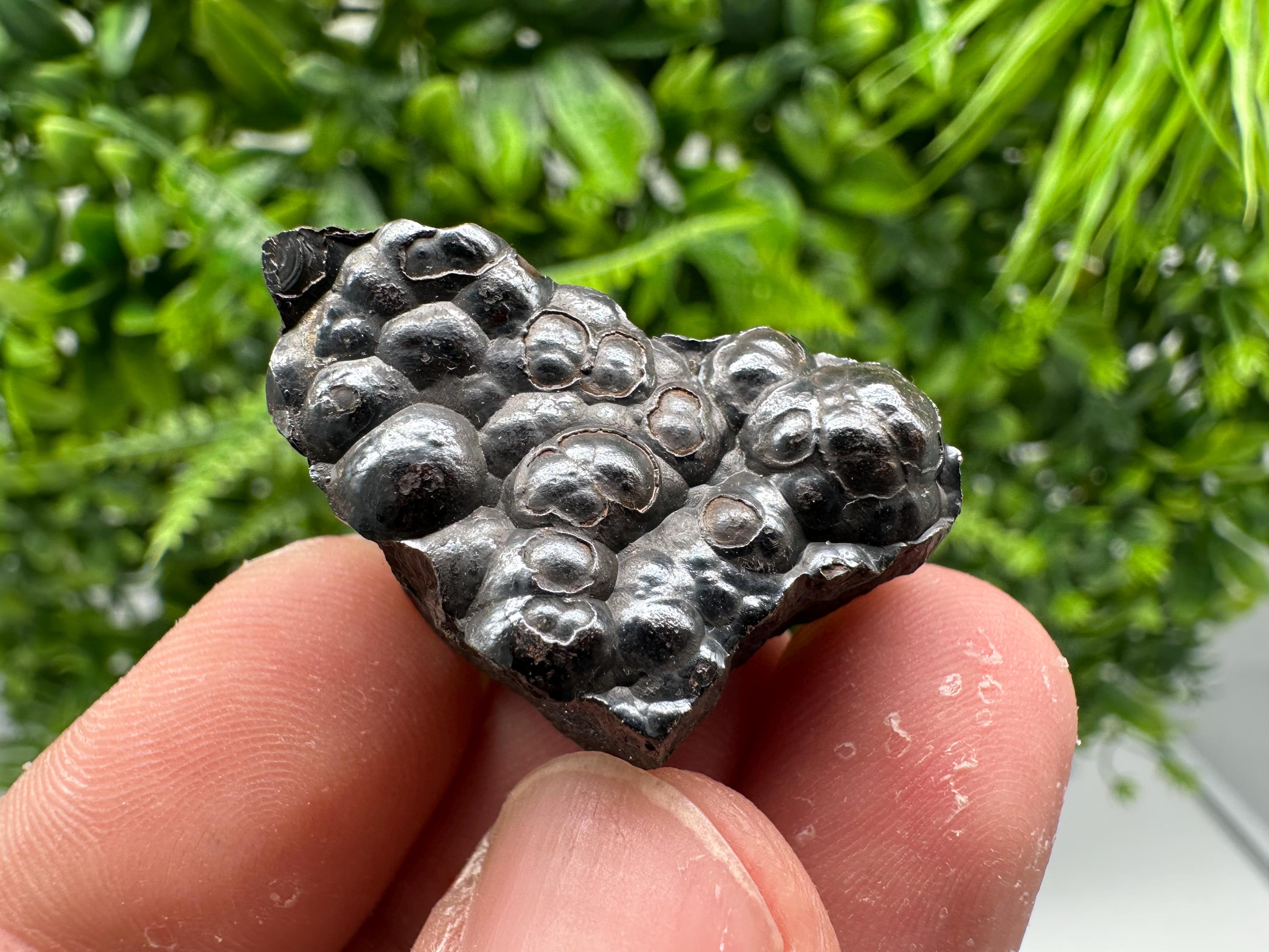 Botryoidal Black Hematite Specimen: Chakra Reiki Crystal