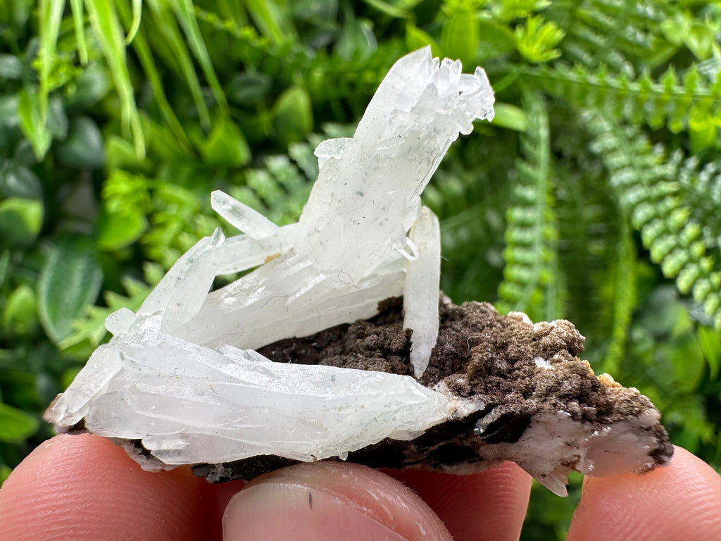 Quartz with Chlorite, Rhodochrosite and Siderite Crystal Mineral Specimen