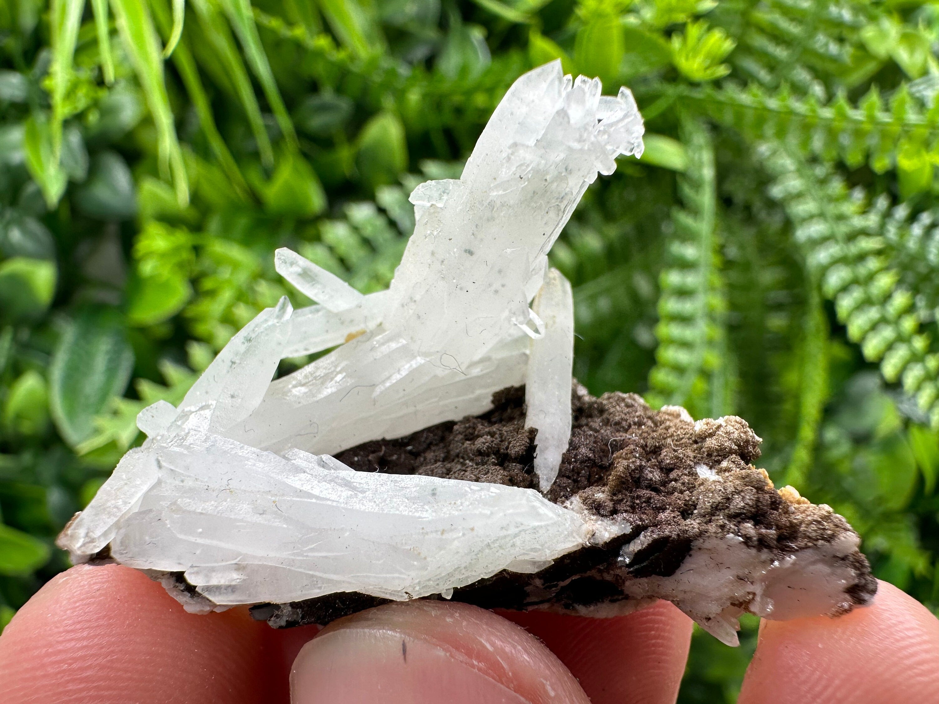 Quartz with Chlorite, Rhodochrosite and Siderite Crystal Mineral Specimen