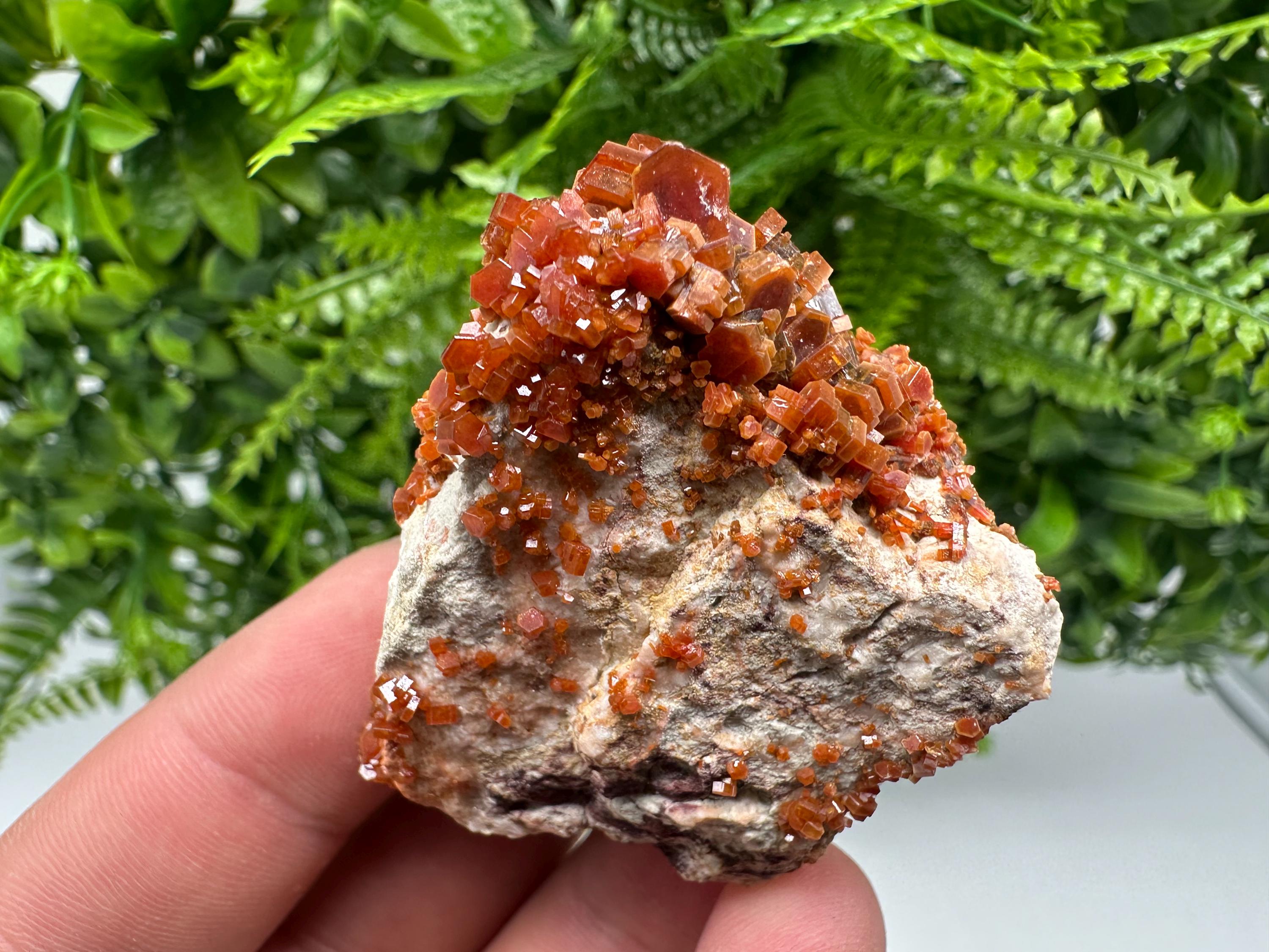 Red Vanadinite on Barite, Moroccan Crystal Specimen
