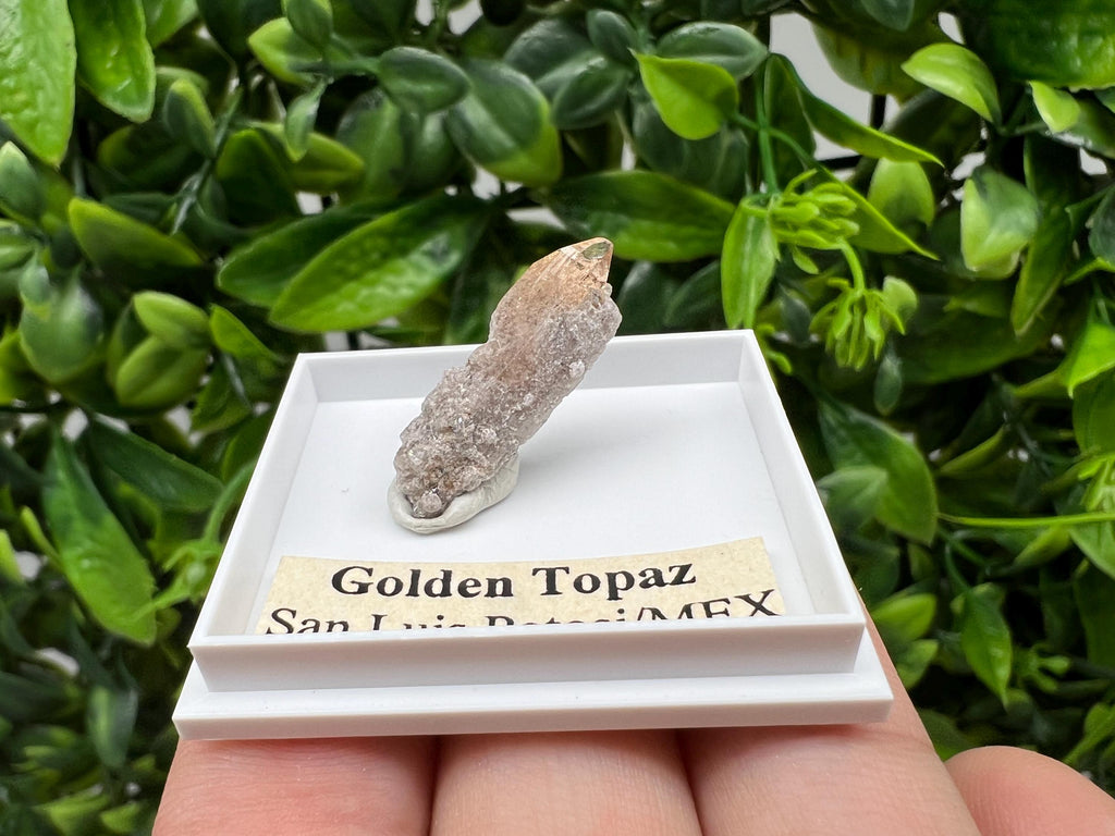 Beautiful Golden Topaz from Mexico,collection piece Crystal,Mineral,collectibles,Collectors, Natural Crystal, Minerals from Mexico,original,