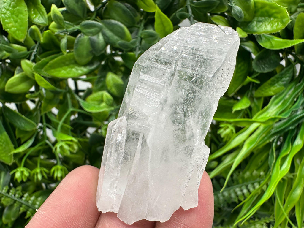 Transparent Quartz Crystal: Djurcovo Mine, Bulgaria