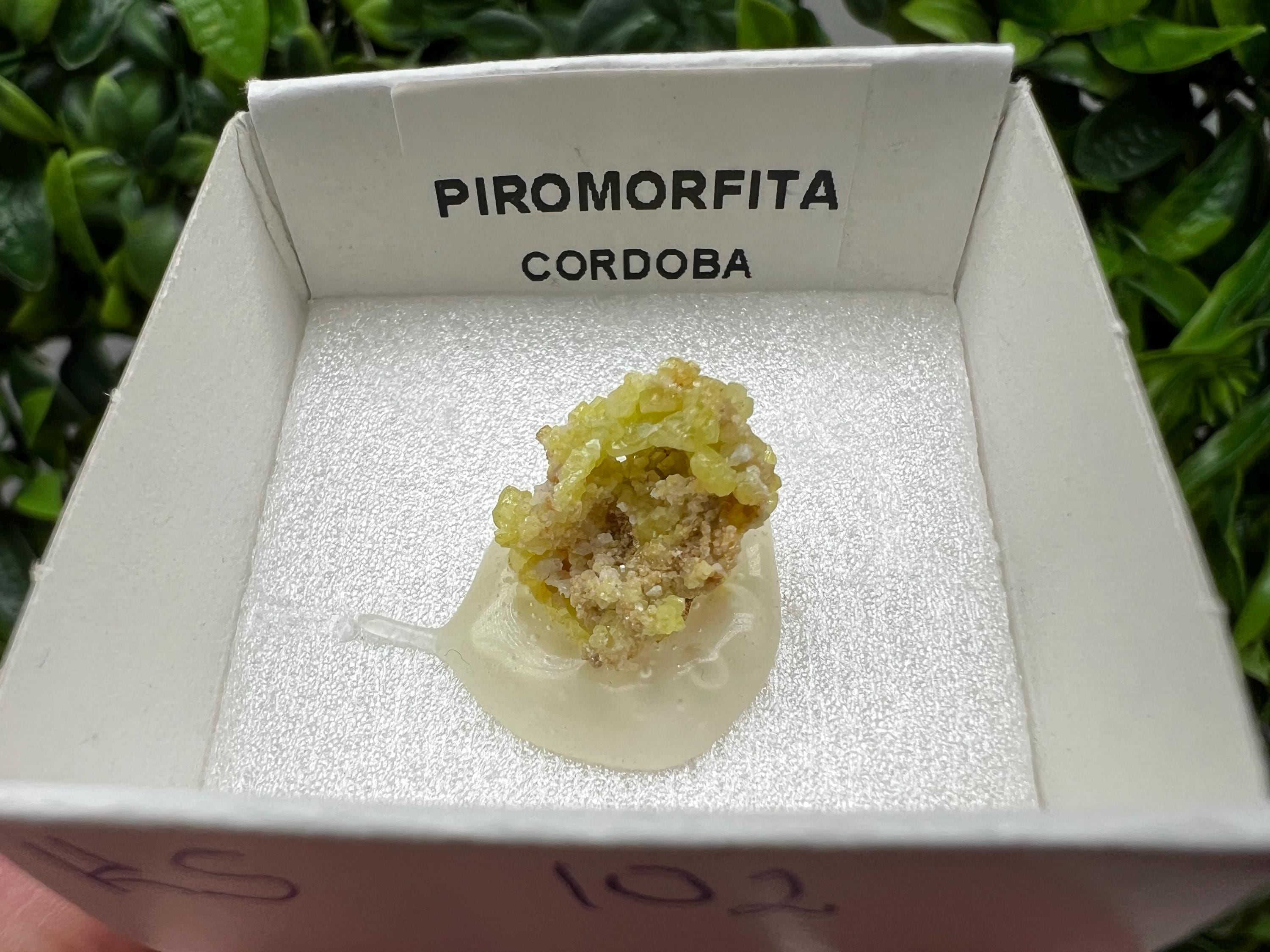 Pyromorphite Stone / Pyromorphite on Matrix / Pyromorphite Crystal / Raw Crystal / Pyromorphite Cluster / Rough Pyromorphite / Pyromorphite
