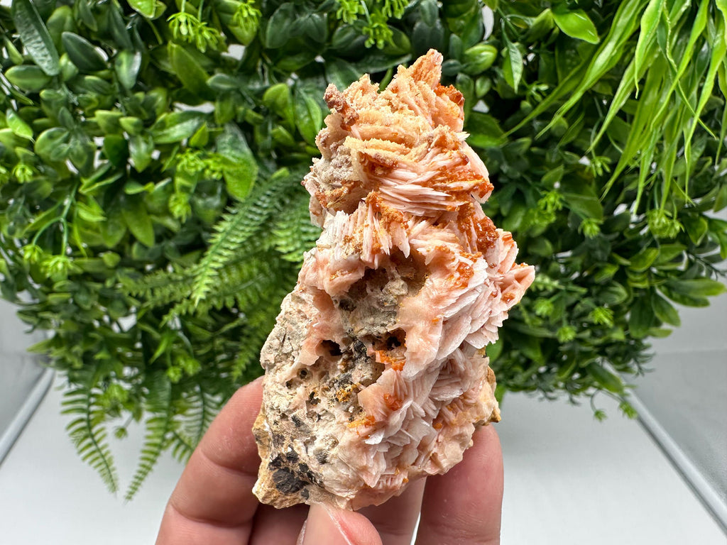Red Vanadinite on Barite from Marocco,crystal minerals Speciment cluster Vanadinite crystal Vanadinite Geology Vanadinite cluster minerals