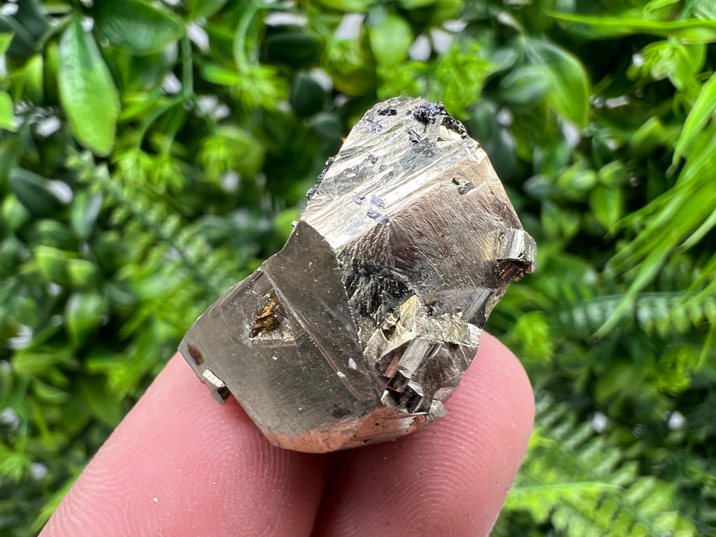 Rare Crystallization Pyrite Cluster, Borieva Mine, Bulgaria
