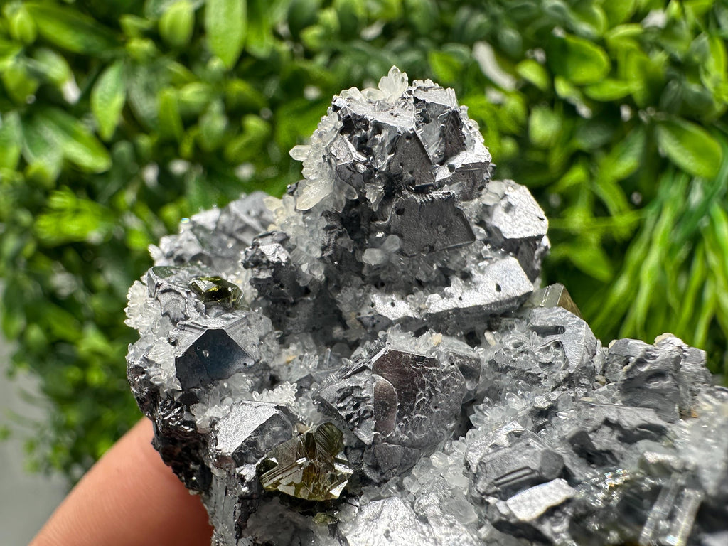 Rare Galena Sphalerite Pyrite Mineral Specimen: Krushev Dol Mine, Bulgaria