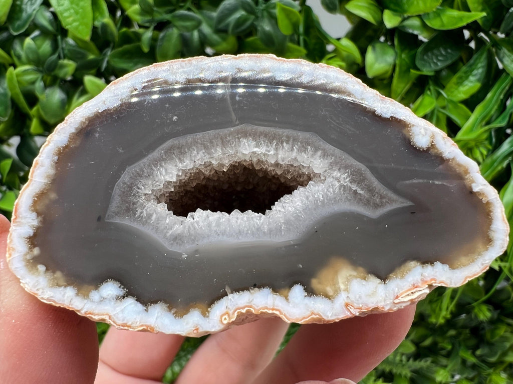 Natural Agate Druzy Geode, Quartz Crystal