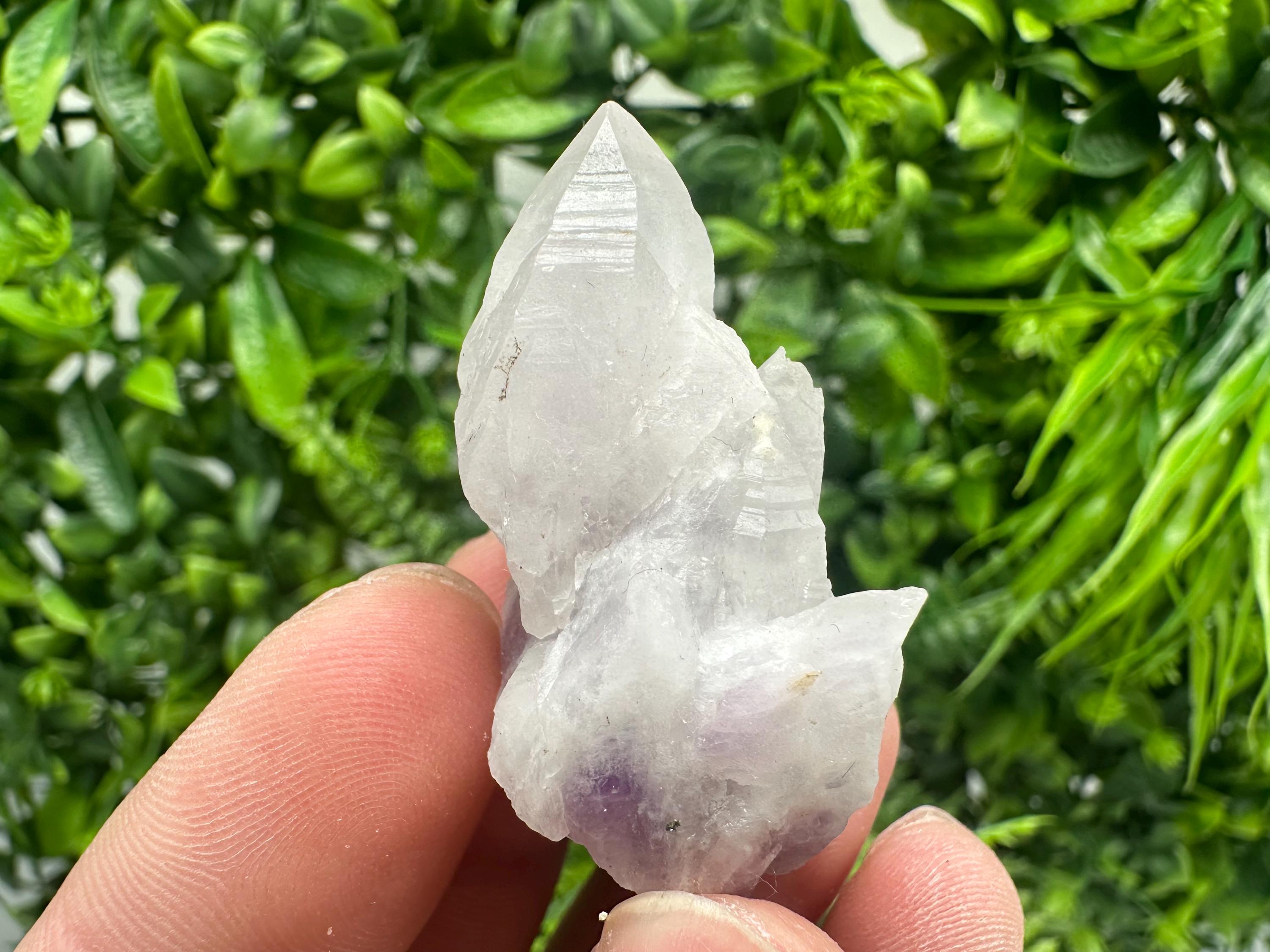 Amethyst Phantom Quartz Crystal: Chalcedony Chlorite Inclusions