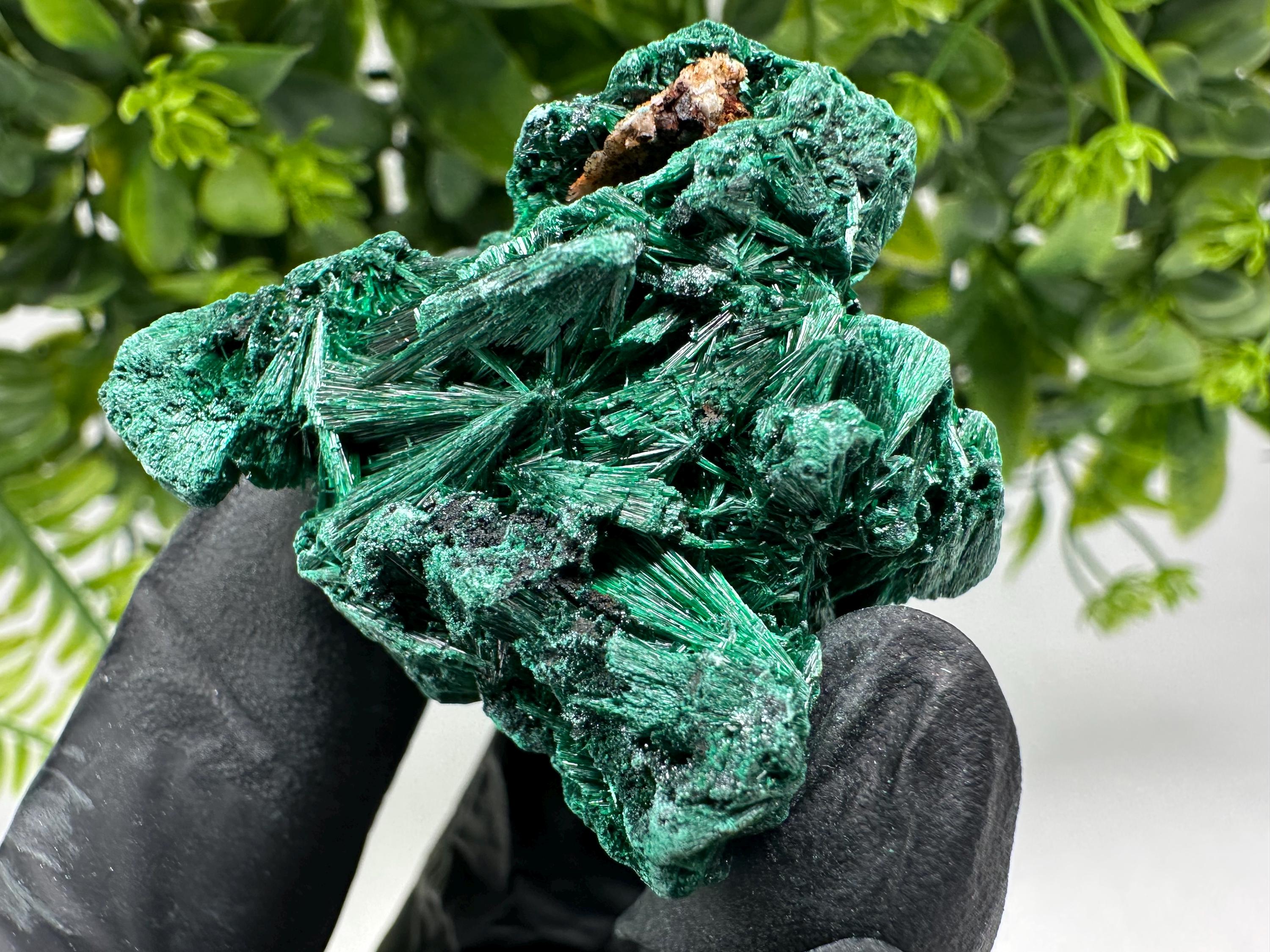 Malachite Crystal from Congo,Minerals,Crystals from Congo,Green Malachite, Malachite,Natural Malachite,Malachite Stone,Chakra, Specimens