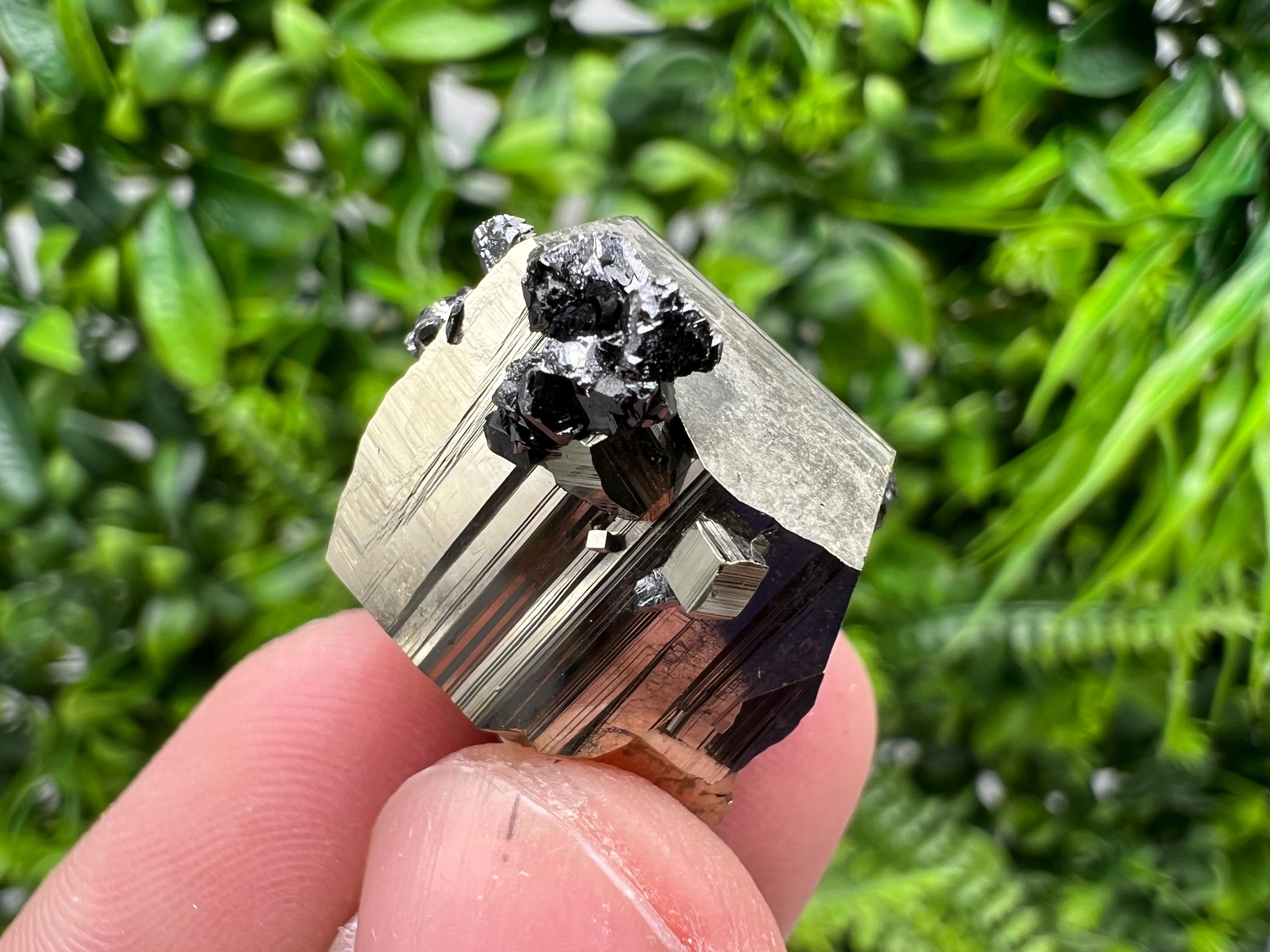 Rare Borieva Mine Pyrite Cluster, Rainbow Crystallization Specimen