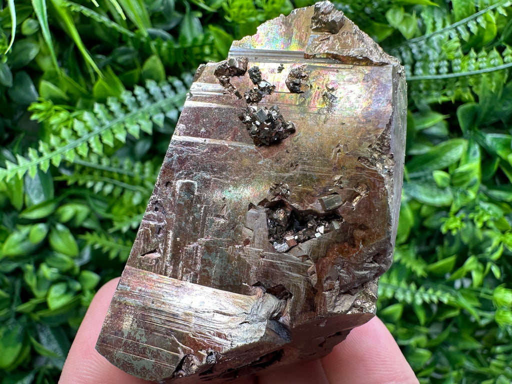Red Hematite Pyrite Cluster, Borieva Mine, Bulgaria