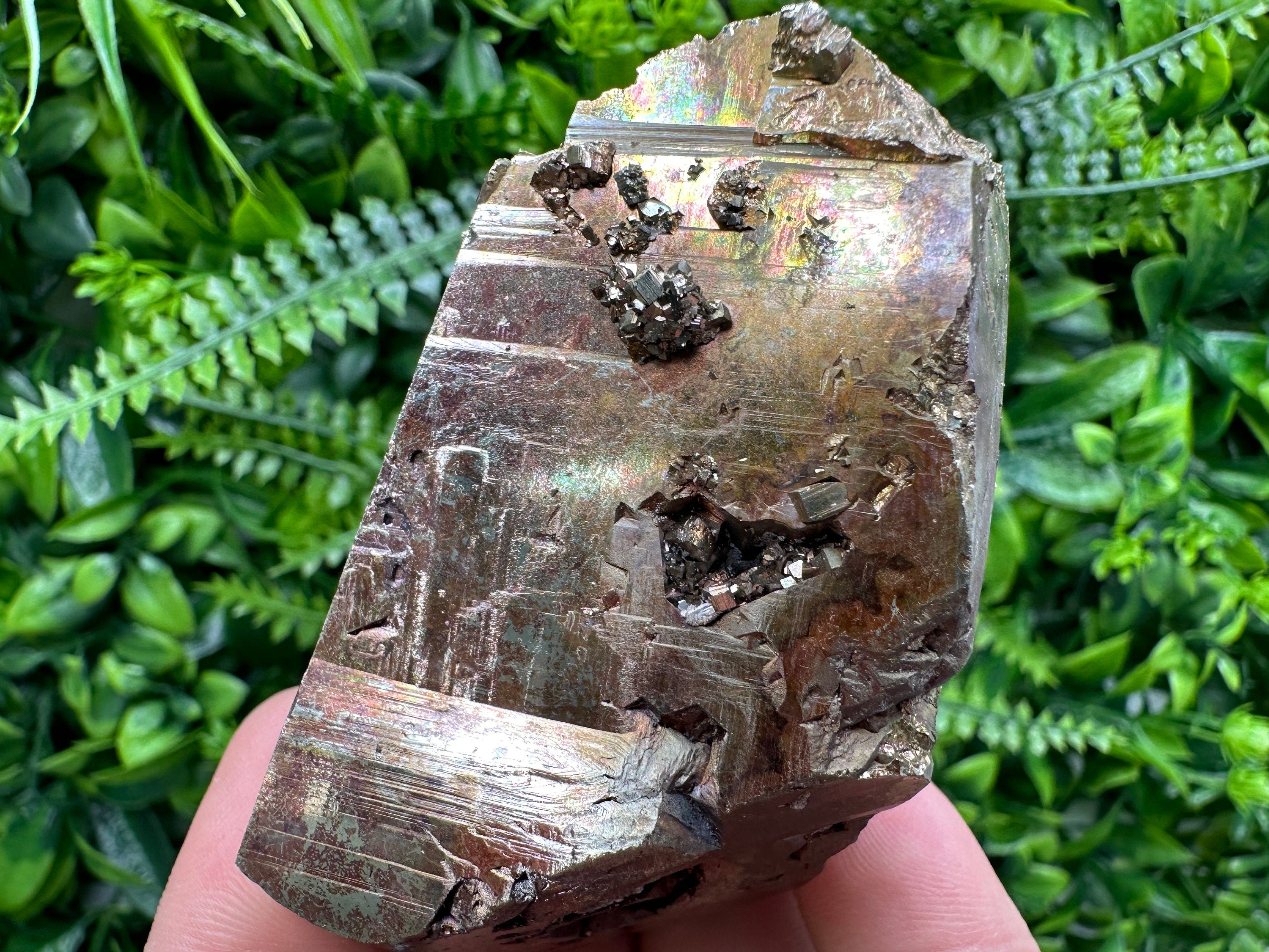 Red Hematite Pyrite Cluster, Borieva Mine, Bulgaria