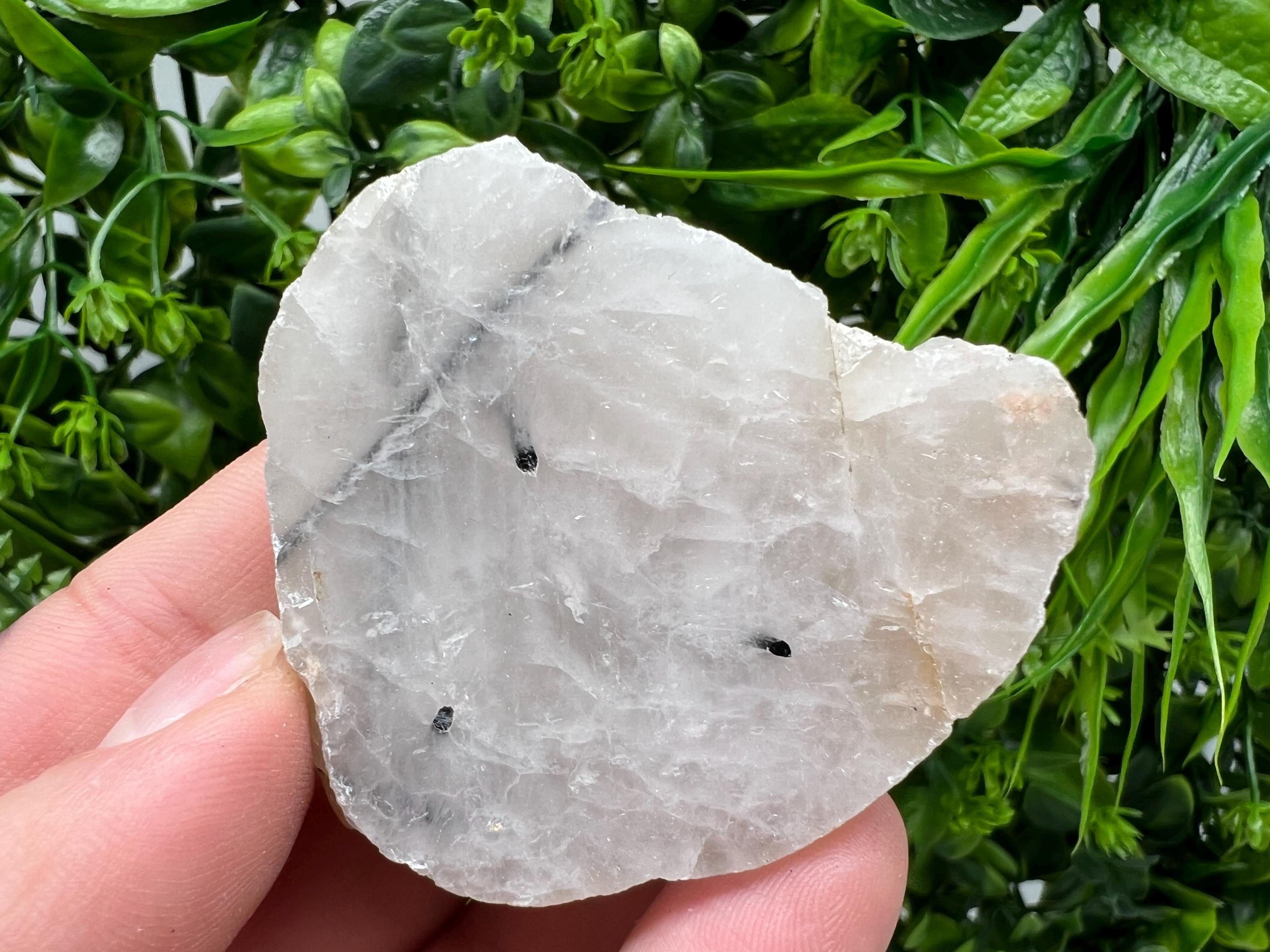 Quartz with Black Tourmaline Polished Slab: Crystal Slice