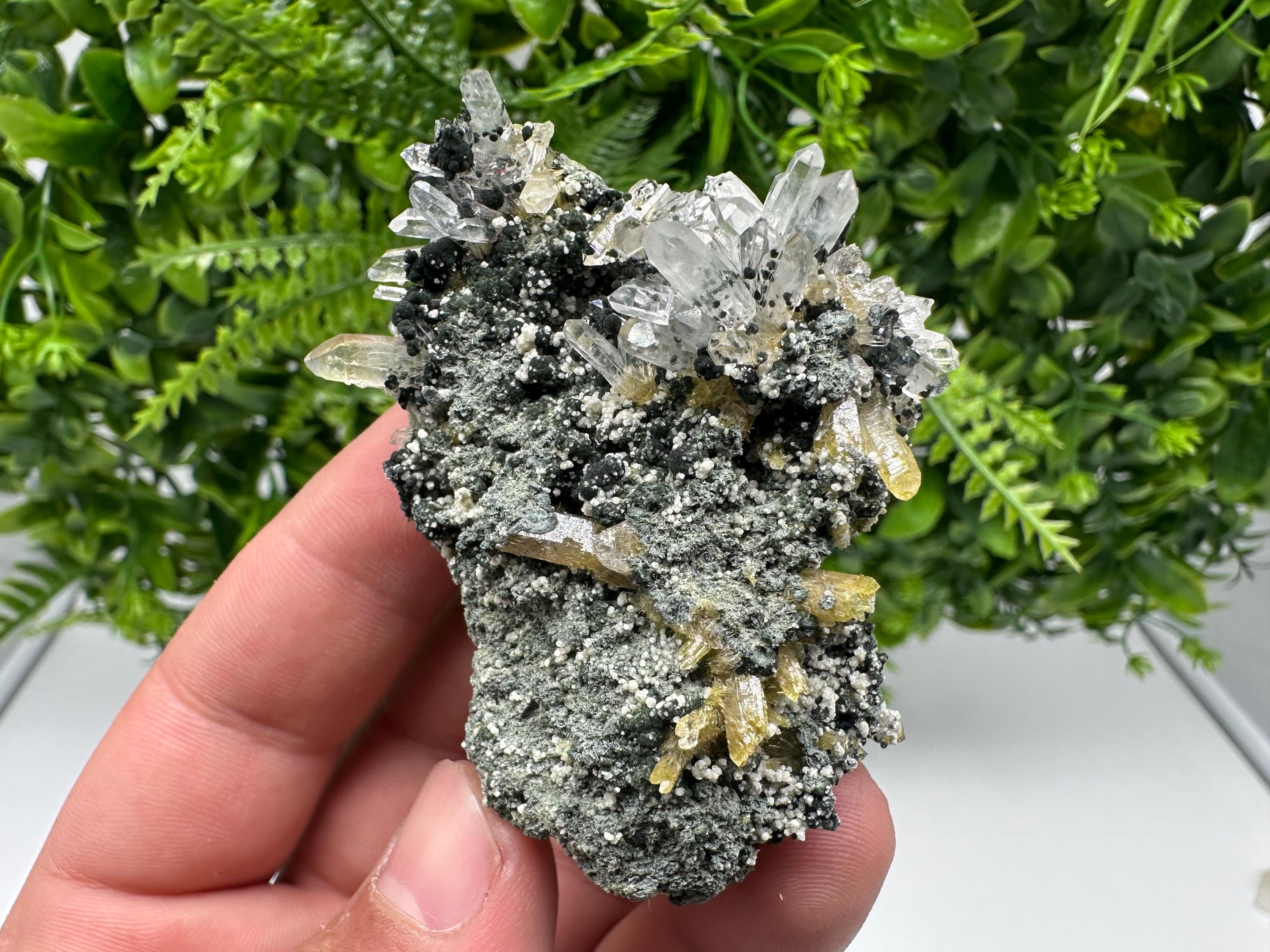 Chlorite Epidote Quartz Specimen: Borieva Mine, Bulgaria
