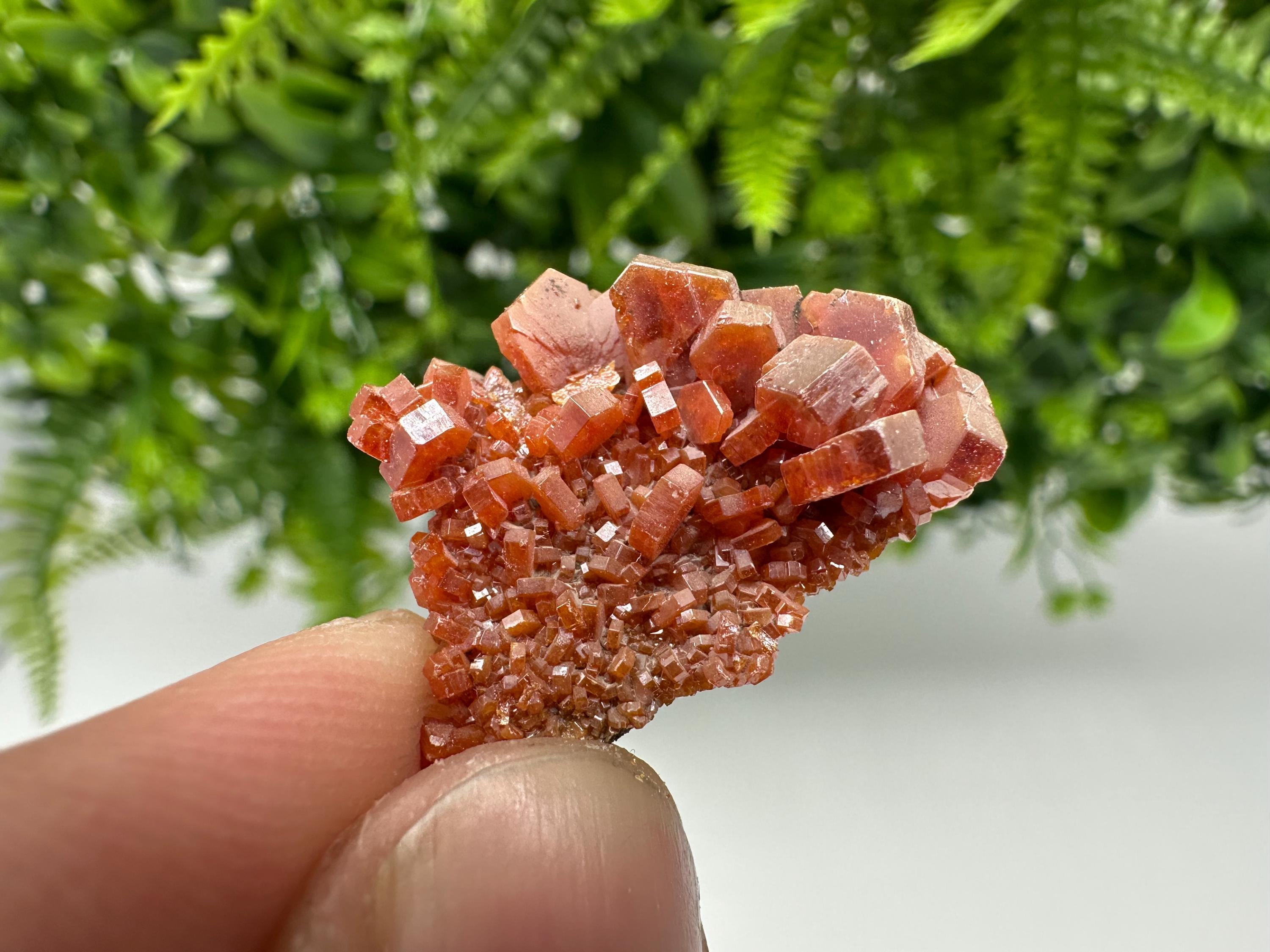 Red Vanadinite on Barite, Morocco Crystal Specimen, Geology Minerals