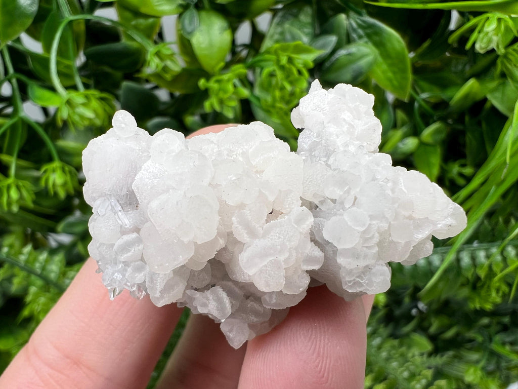 Mangano Calcite with Galena, Borieva Mine, Bulgaria