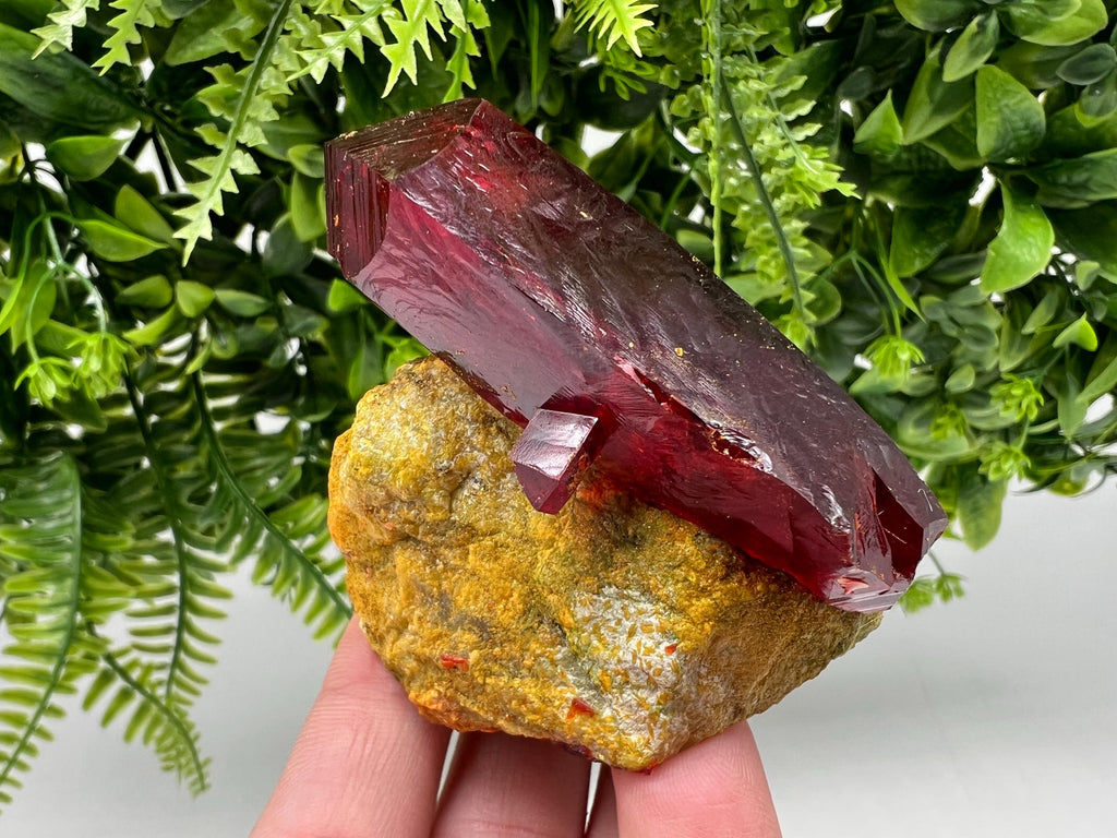 XXL Laboratory Pruskite Ruby Crystal on Matrix