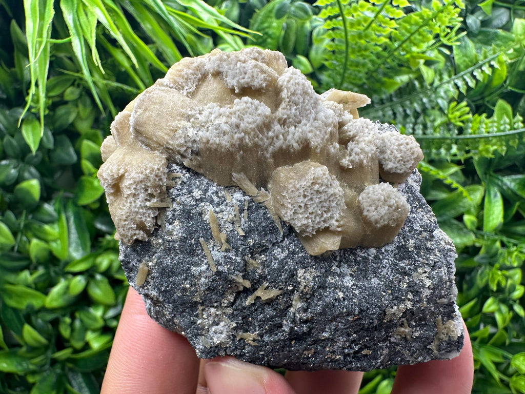 Rare Calcite Cluster on Matrix, Bulgaria Mineral Specimen
