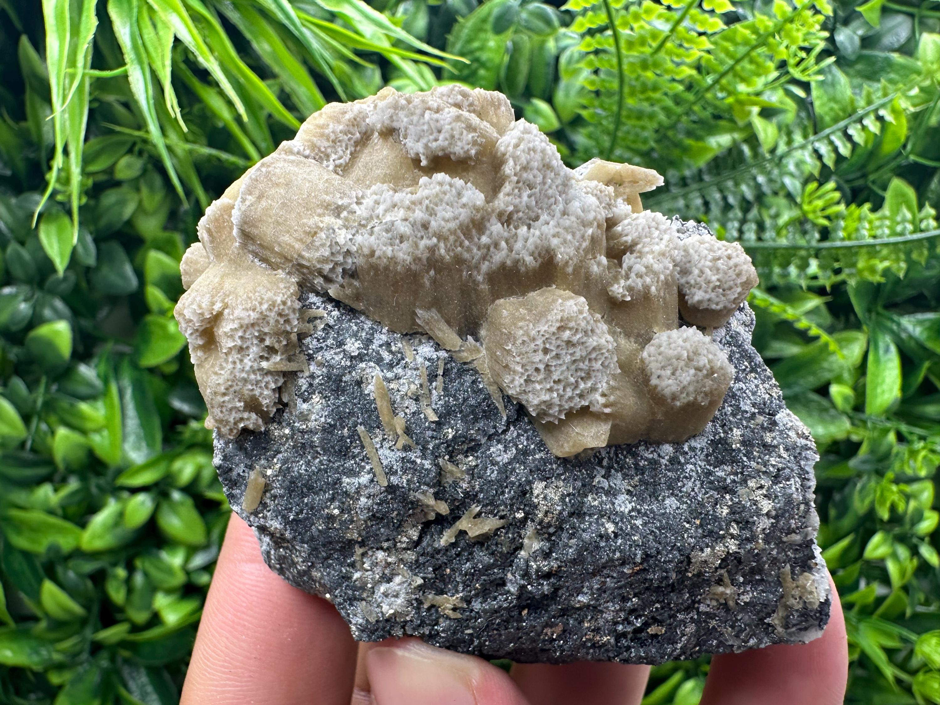 Rare Calcite Cluster on Matrix, Bulgaria Mineral Specimen