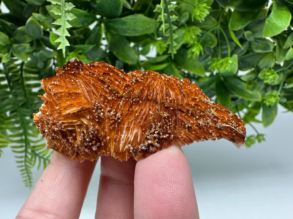 Red Vanadinite Crystal Cluster on Barite Matrix from Morocco