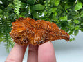 Red Vanadinite Crystal Cluster on Barite Matrix from Morocco