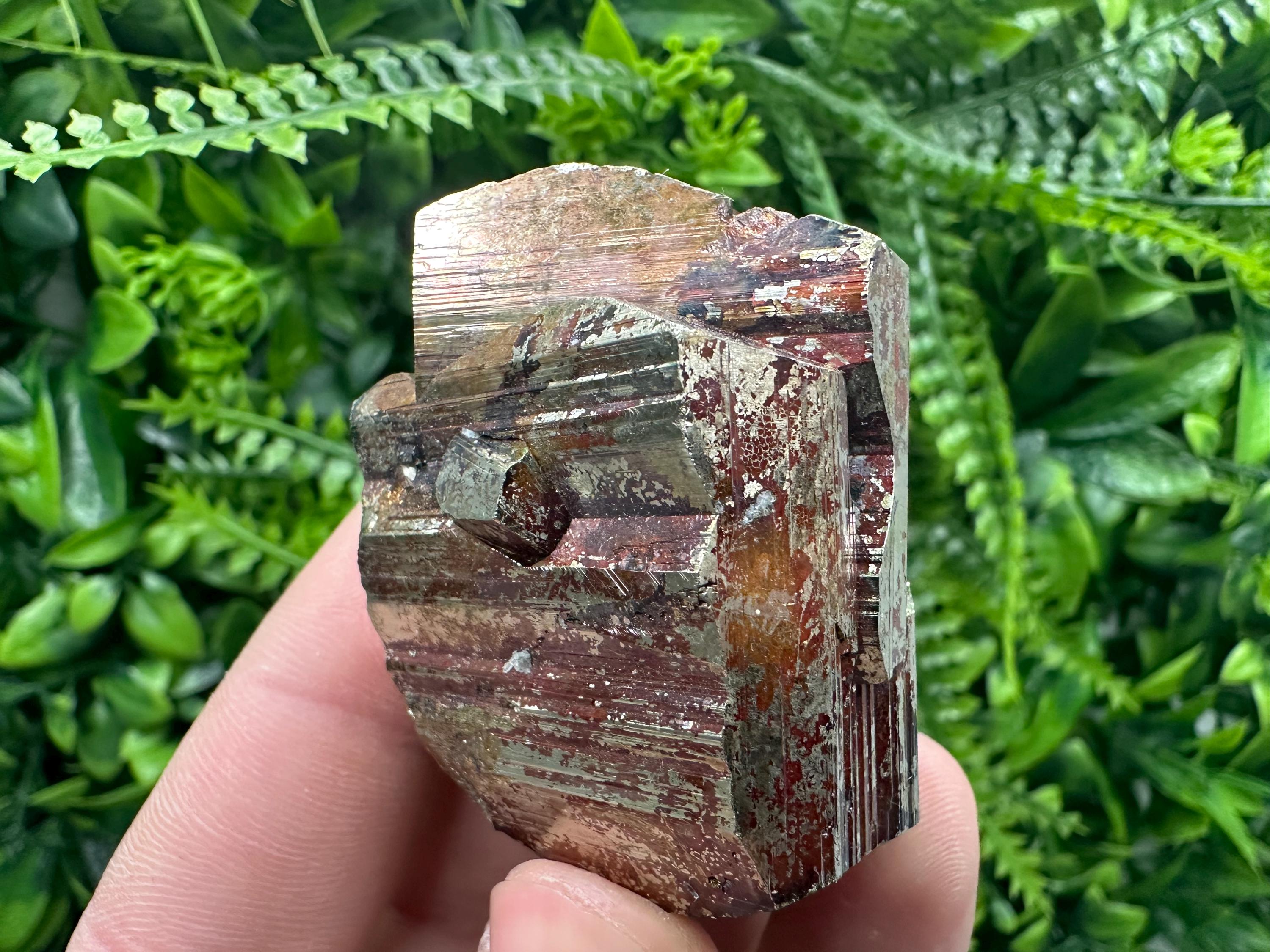 Pyrite with Hematite Mineral Specimen: Bulgaria Crystal Decor (5.5cm)