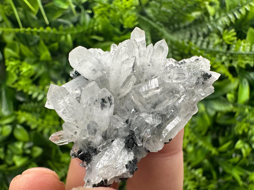 Transparent Quartz Cluster, Borieva Mine, Rare Crystal Specimen