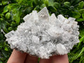 Barite Marcasite Cluster on Chalcedony, Androvo Mine Bulgaria