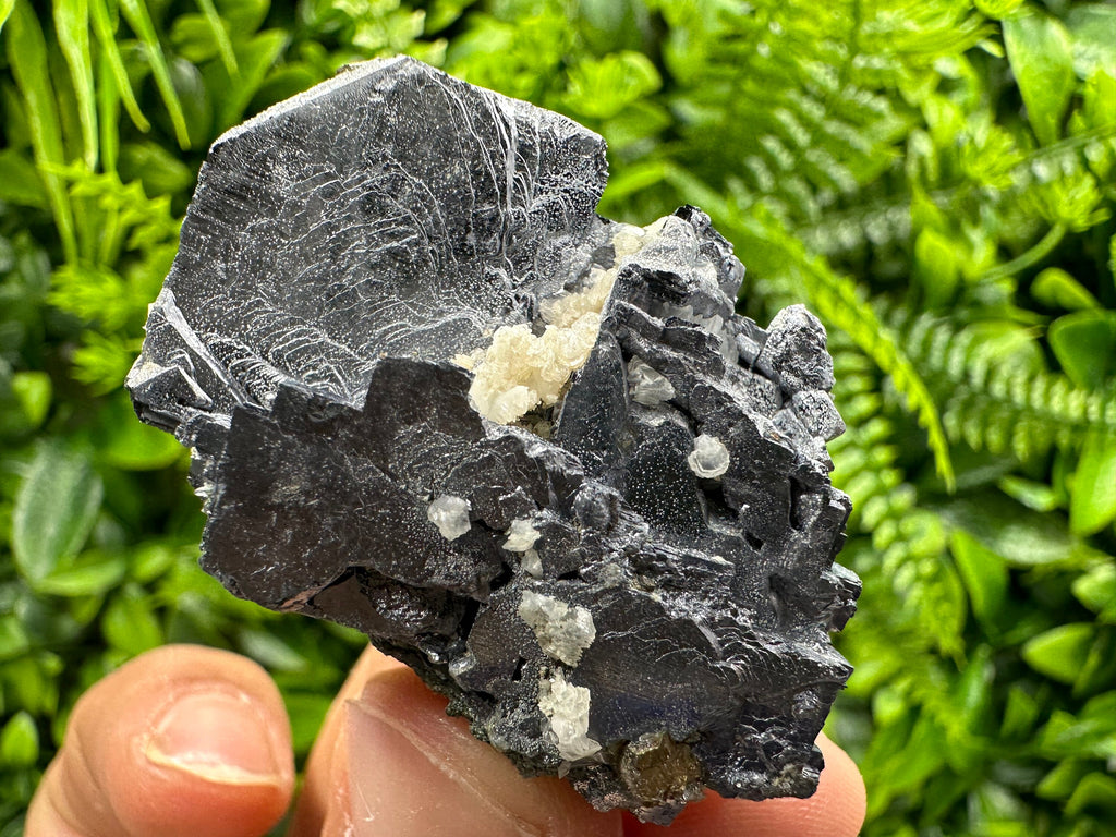 Galena Cluster: Shiny Mineral Stone from Borieva Mine, Bulgaria