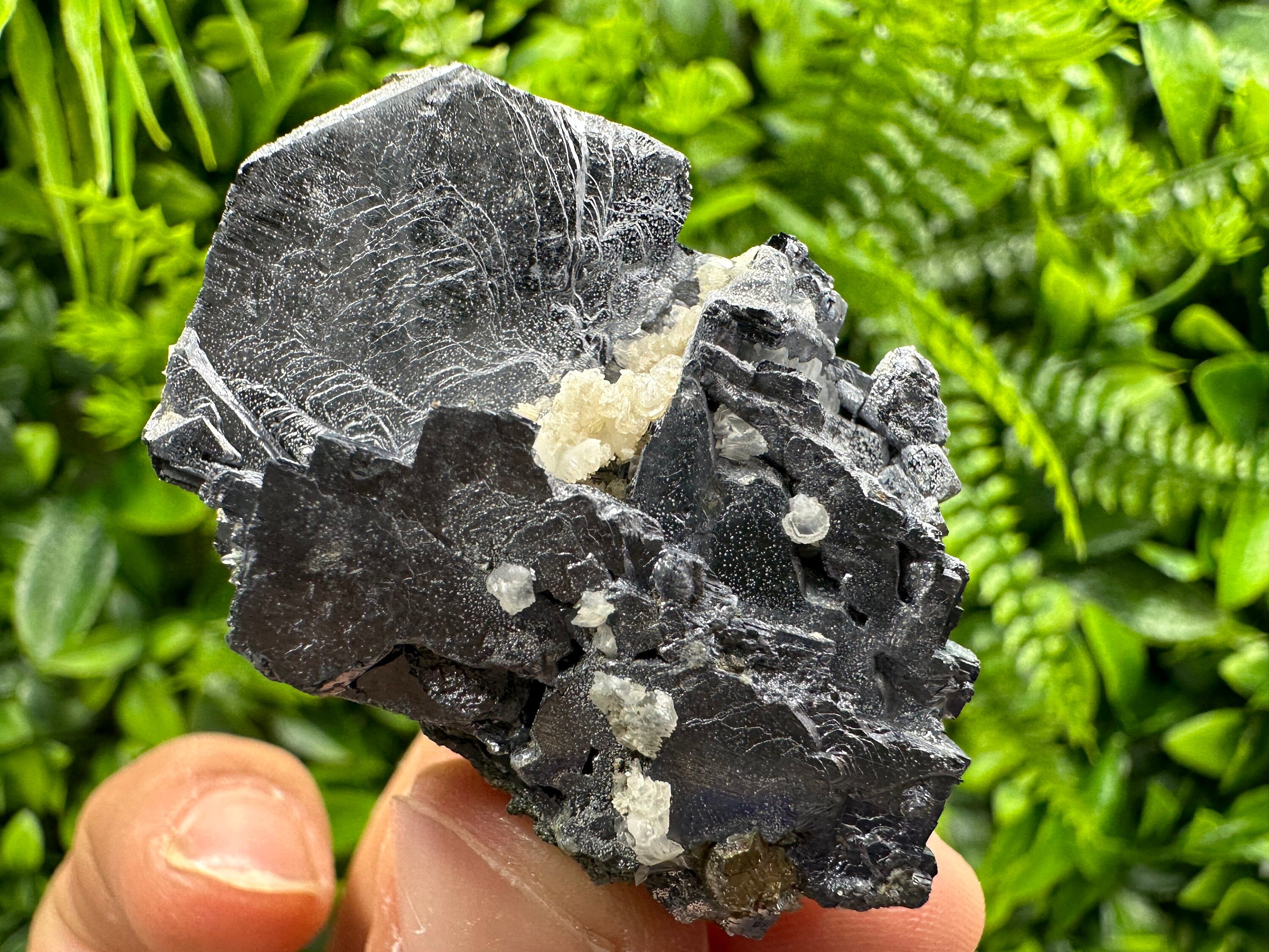 Galena Cluster: Shiny Mineral Stone from Borieva Mine, Bulgaria