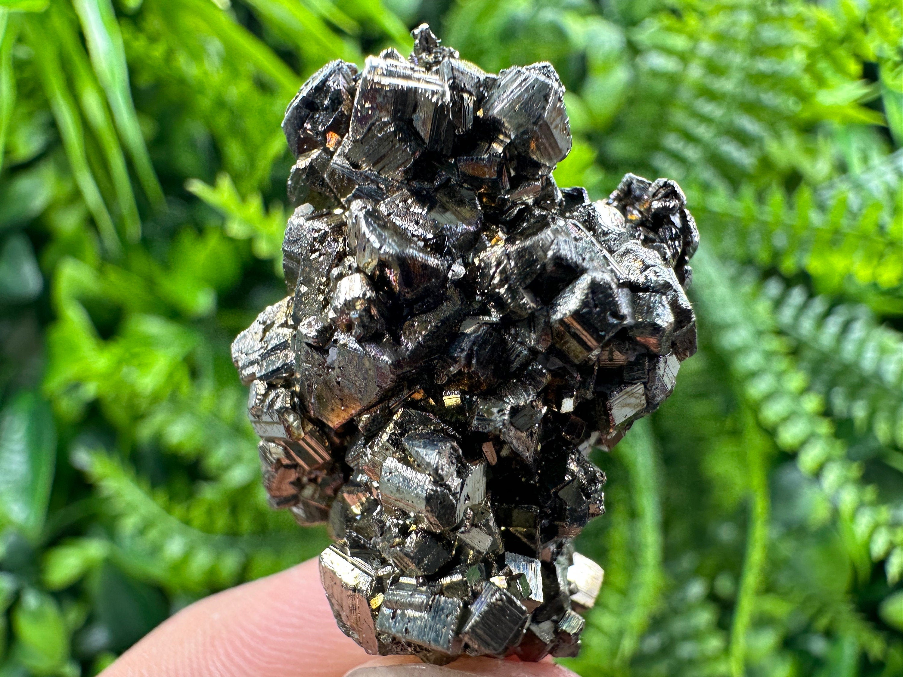 Pyrite Bornite Mineral Specimen: Borieva Mine, Bulgaria